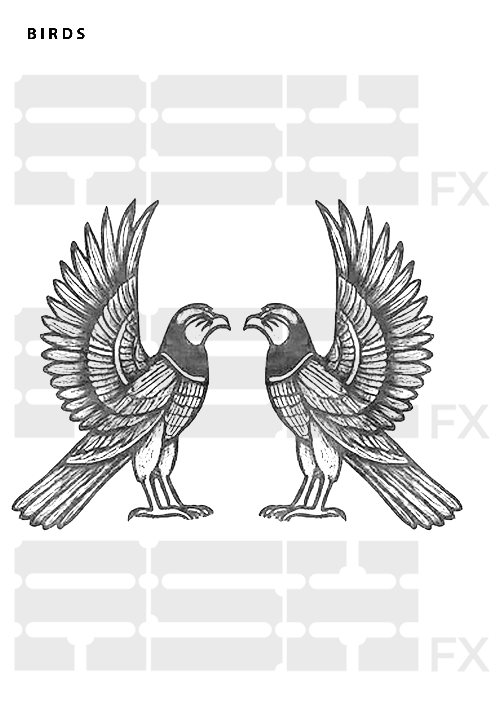 WM BIRDS.png