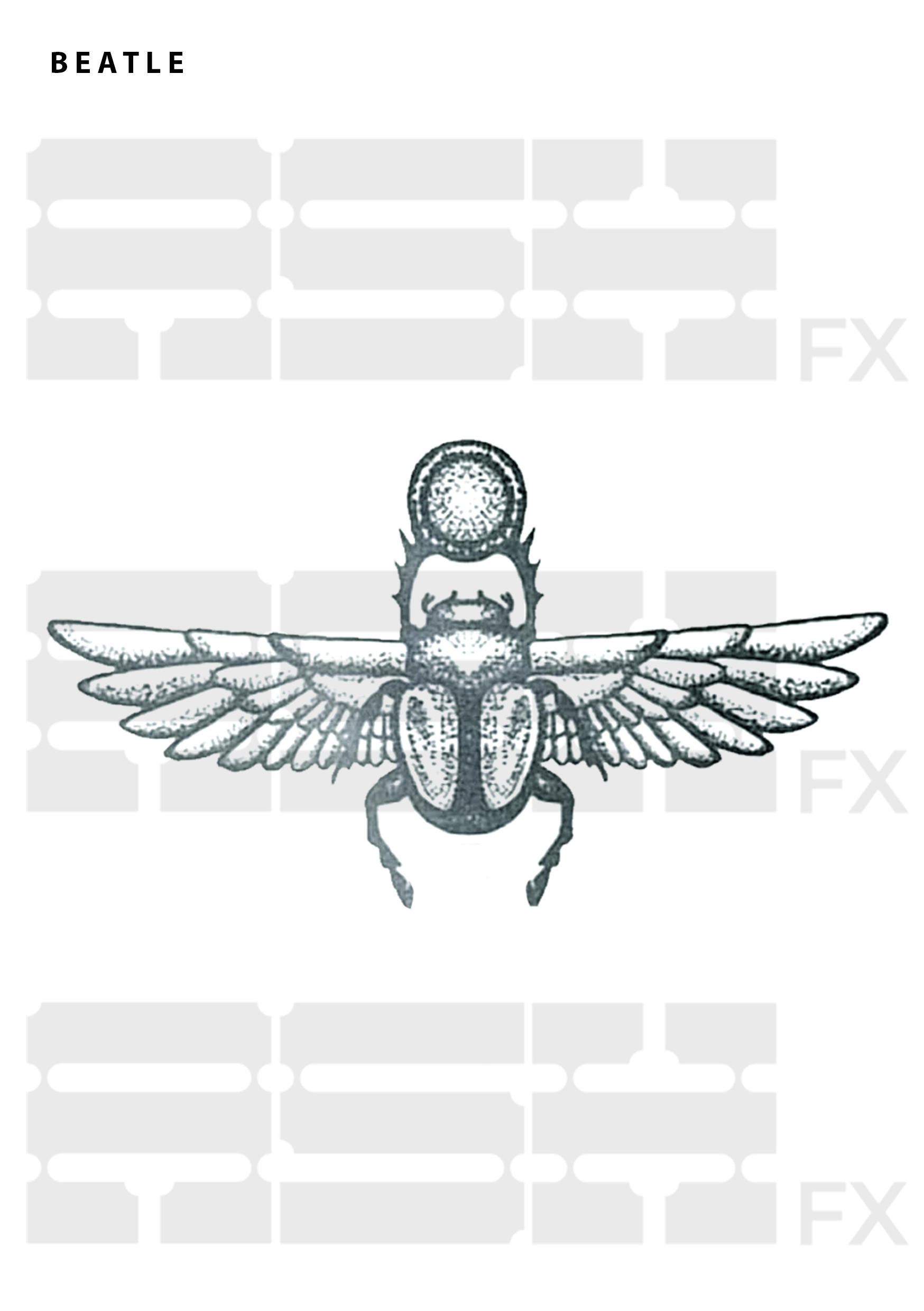 WM EGYPTIAN BEATLE.png