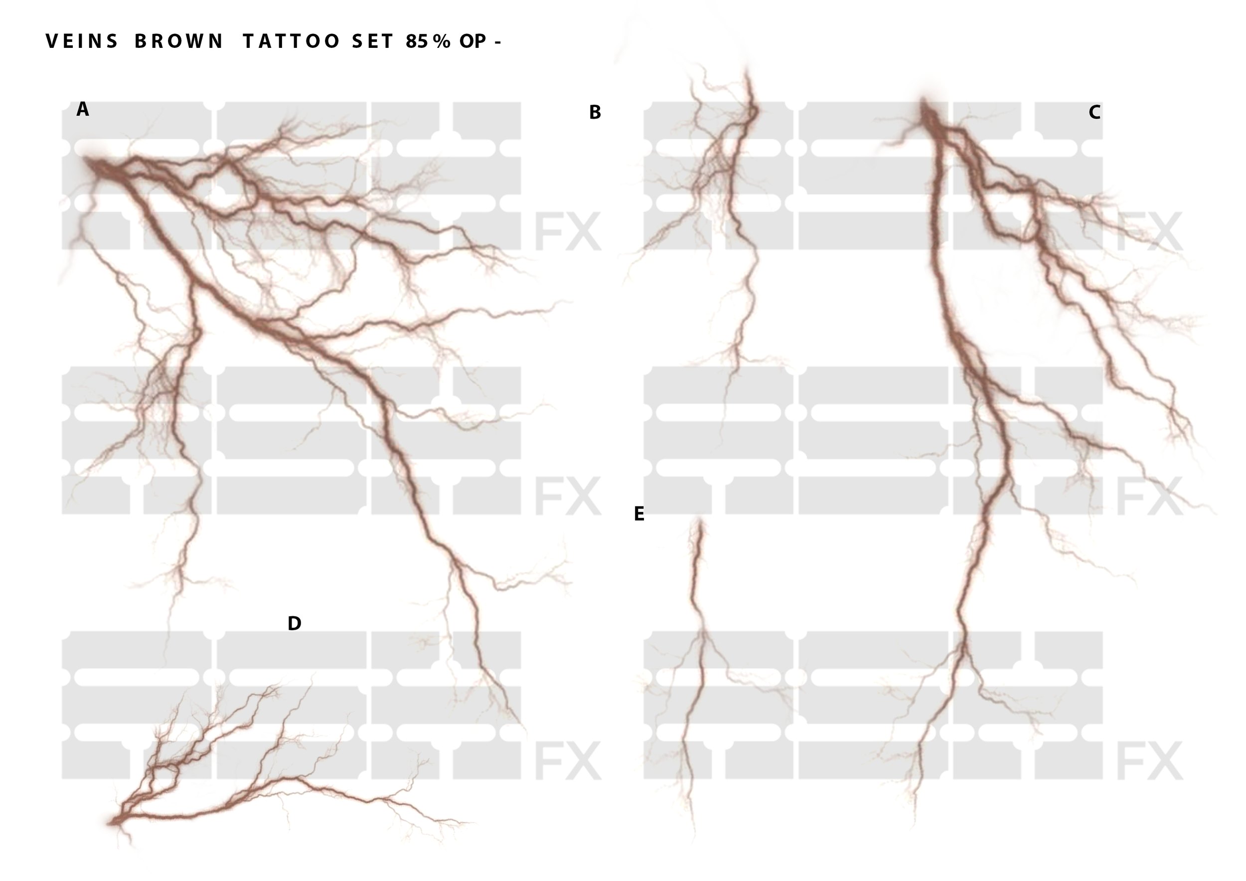 Veins