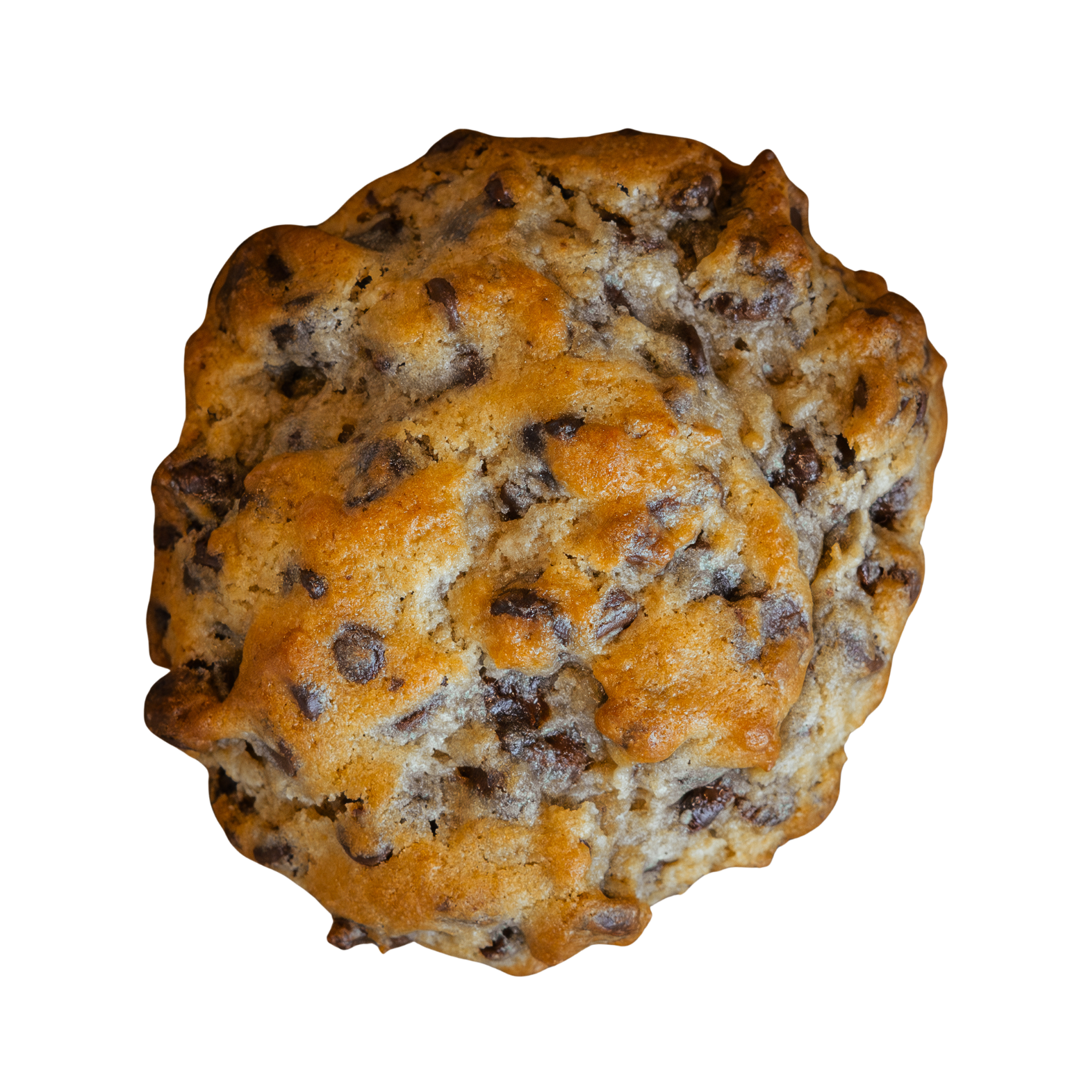Close-up of a chocolate chip cookie with a golden-brown crust and visible chocolate chips.