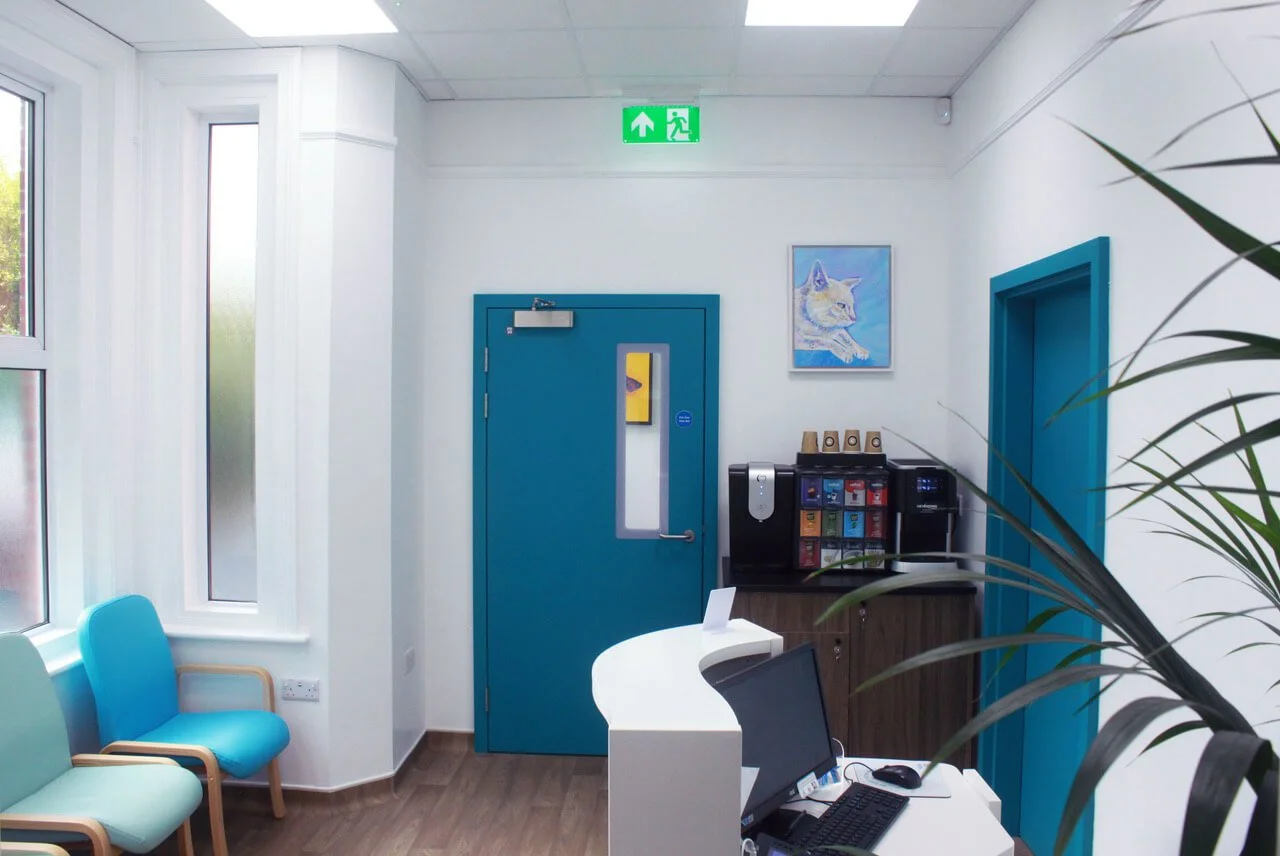 Orthopaedic Veterinary Practice - Reception - Pell-Stevens Architects.jpeg