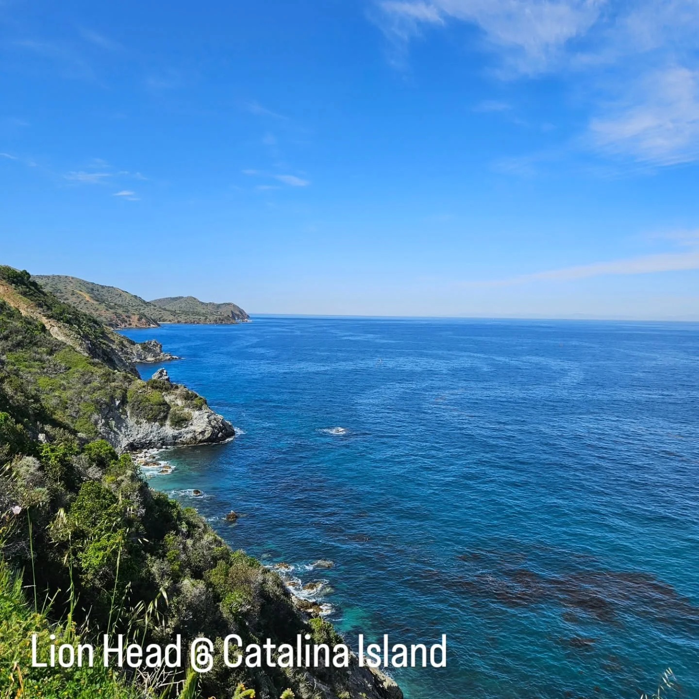 Took a little hike to Lion Head from Two Harbors this past weekend. First week of March and so hot. 🥵 Impossible to get down to the water to snorkel at Lion Head (well, impossible for us). Kayaking would be a better option. Nevertheless, the views w