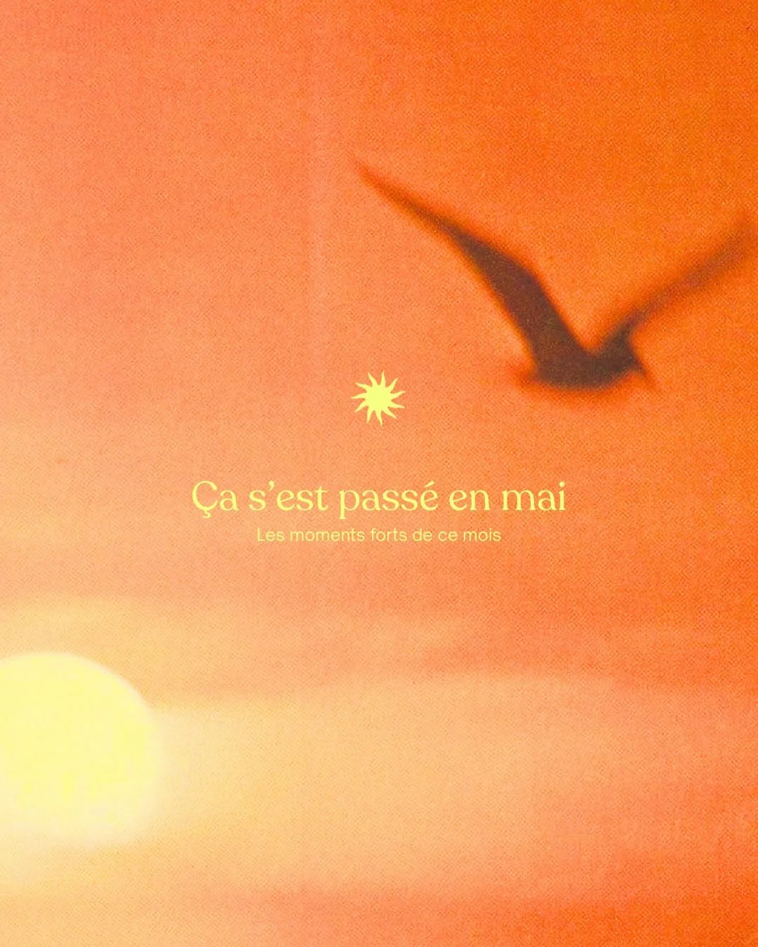 Mai au club soleil 🌞

Merci pour votre &eacute;nergie et tous ces moments pass&eacute;s ensemble ! 

On a h&acirc;te de la suite 🫶🏼

Pilates - wellness - run - &eacute;v&eacute;nements - smoothie
