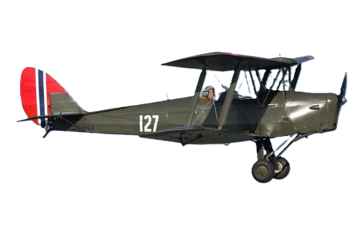 Tiger Moth