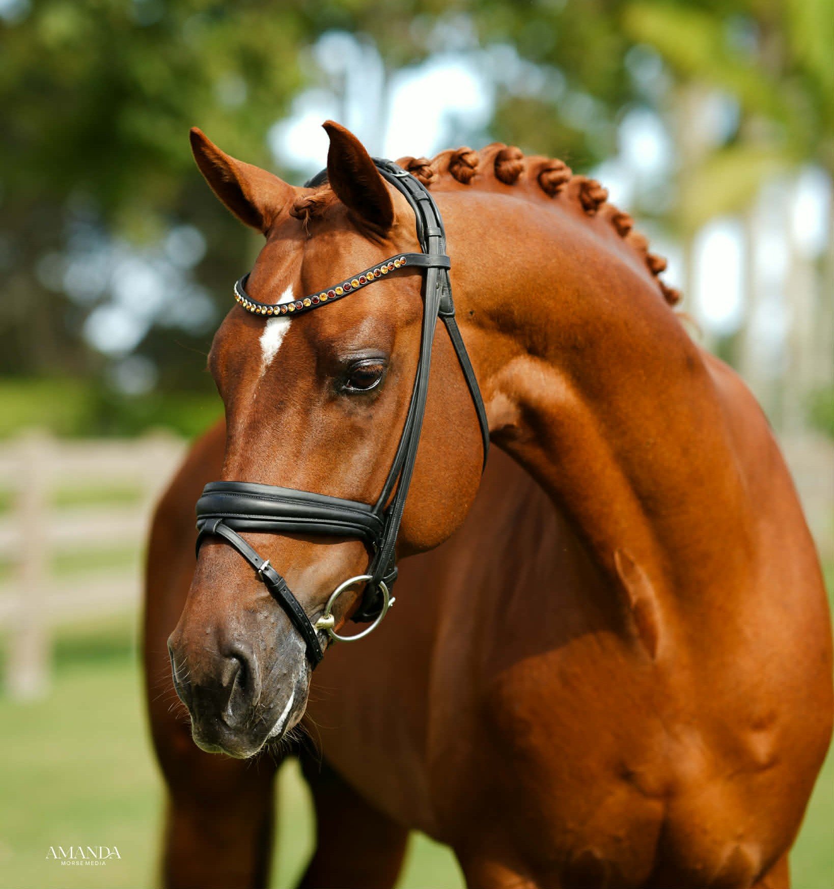 Rosebank face 1 - Copy.jpg