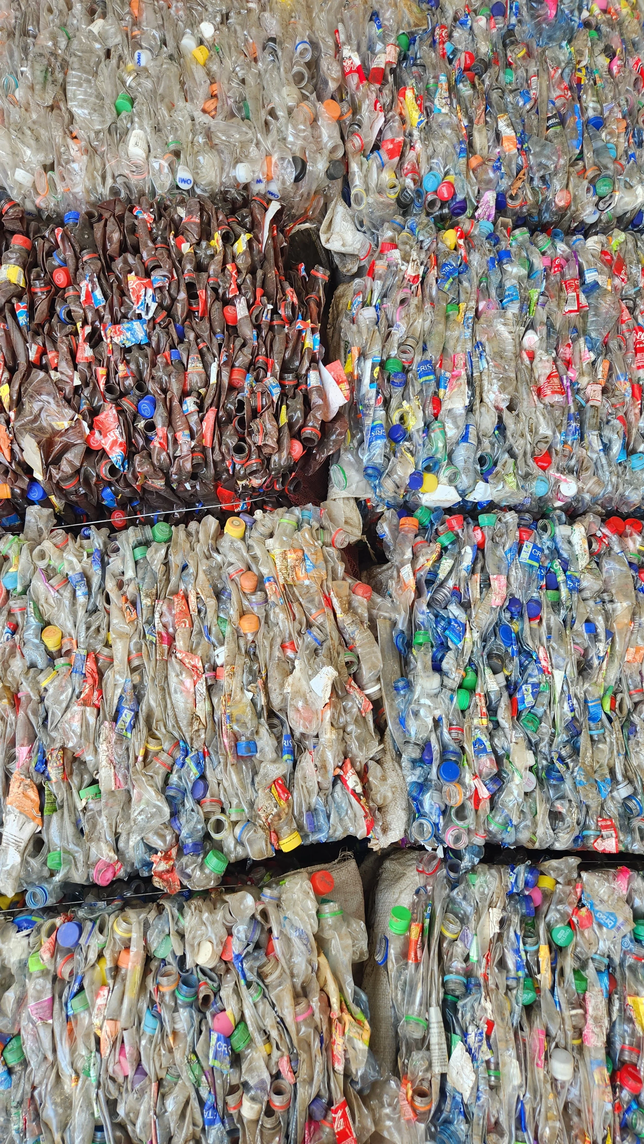 Montones de botellas plásticas recicladas, apiladas y amarradas con cuerdas, en diferentes colores y tamaños.