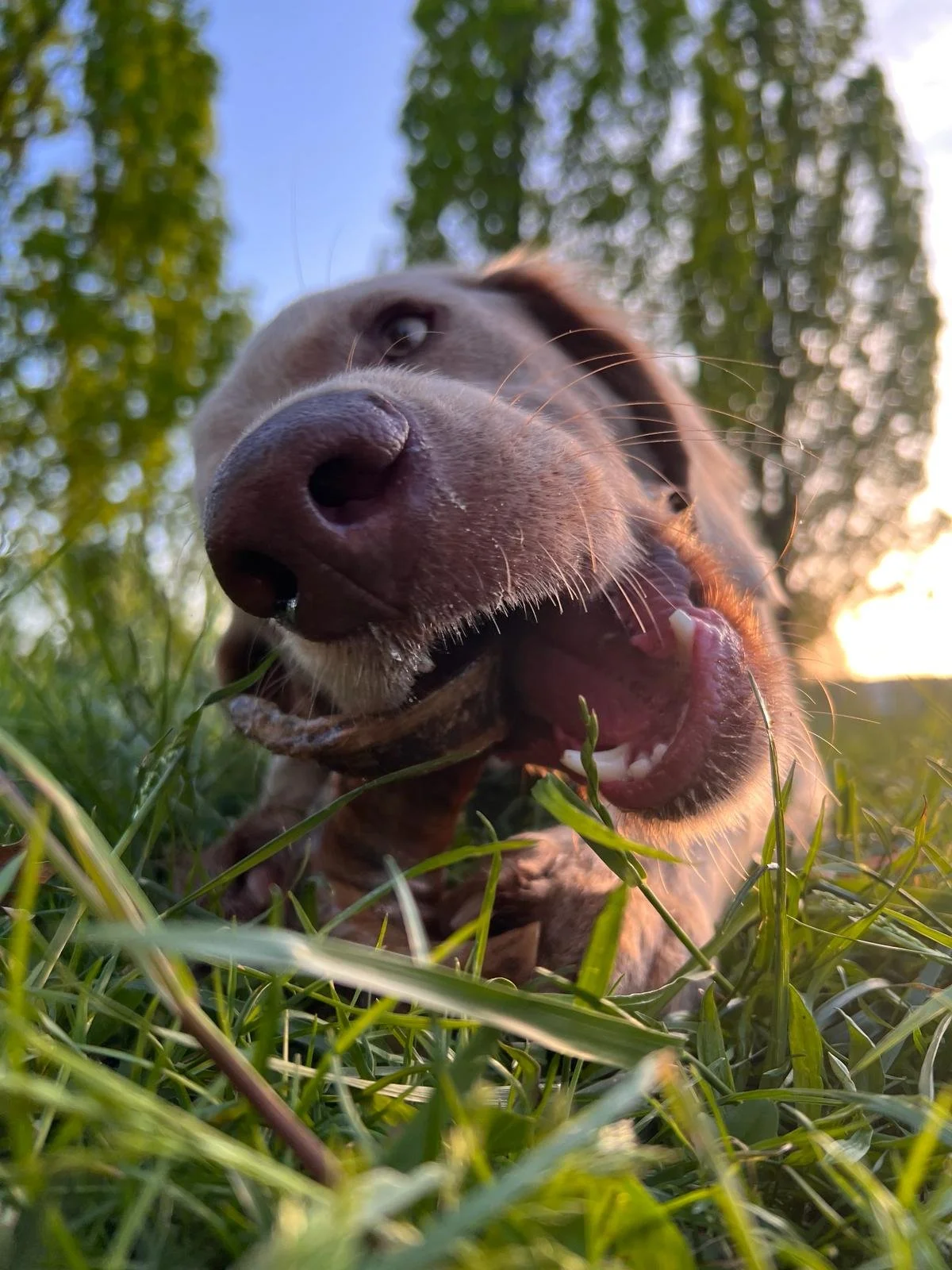 WhatsApp Image 2024-06-14 at 1.37.36.jpeg