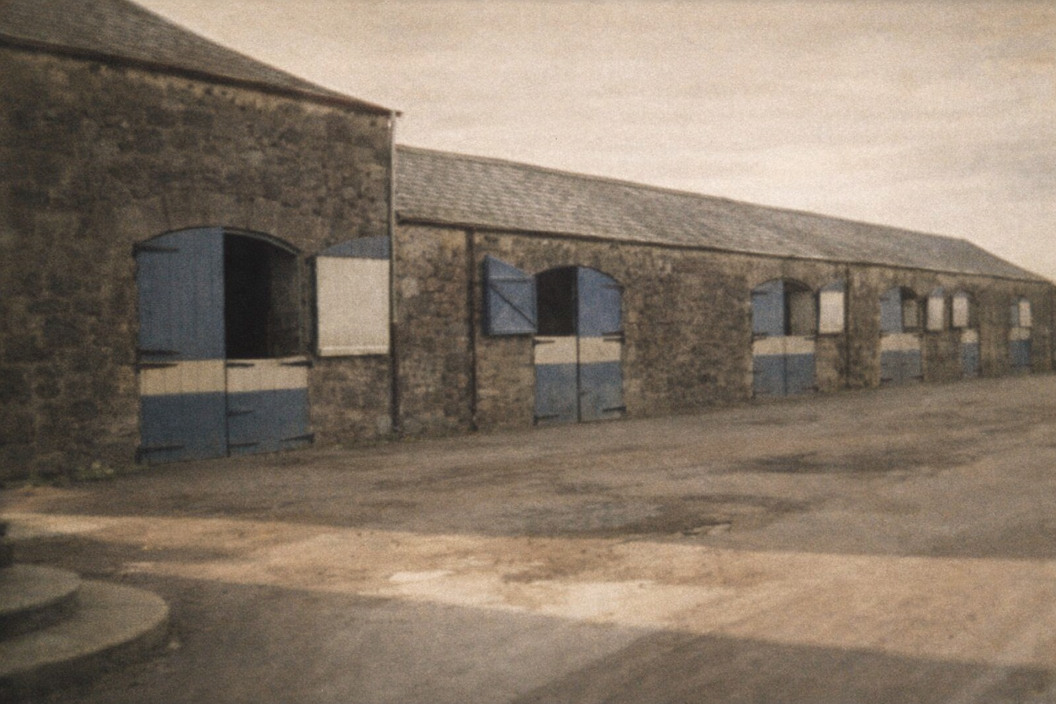 Celebrating 25 Years of BlueSky Experiences