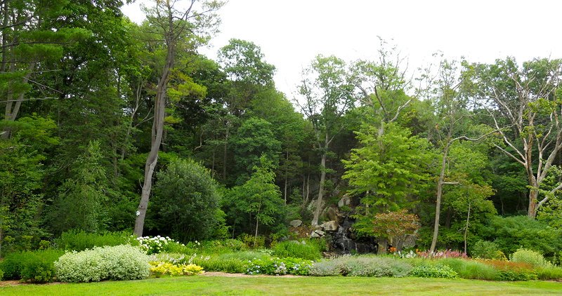 DSCN0523.JPG