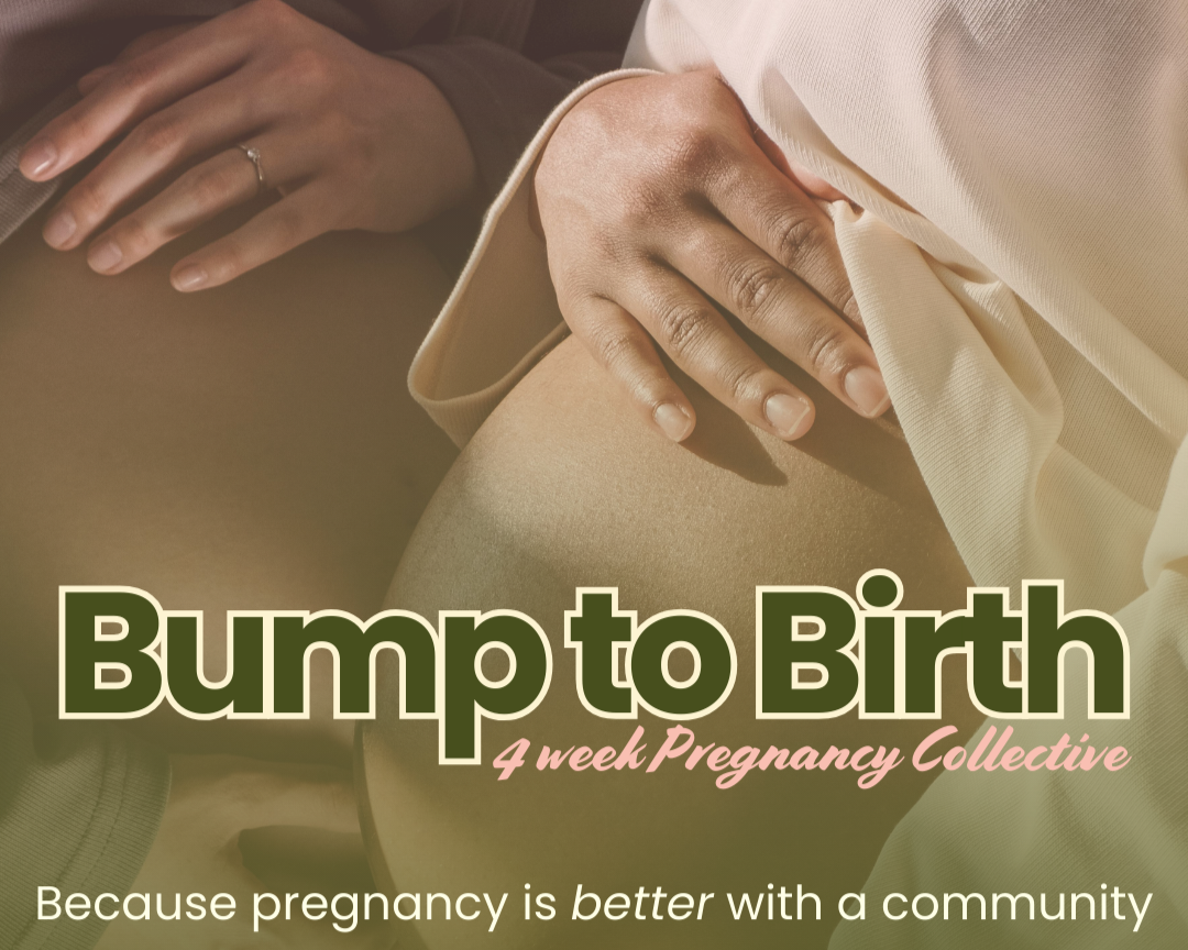 Bump to Birth: Your Pregnancy Support