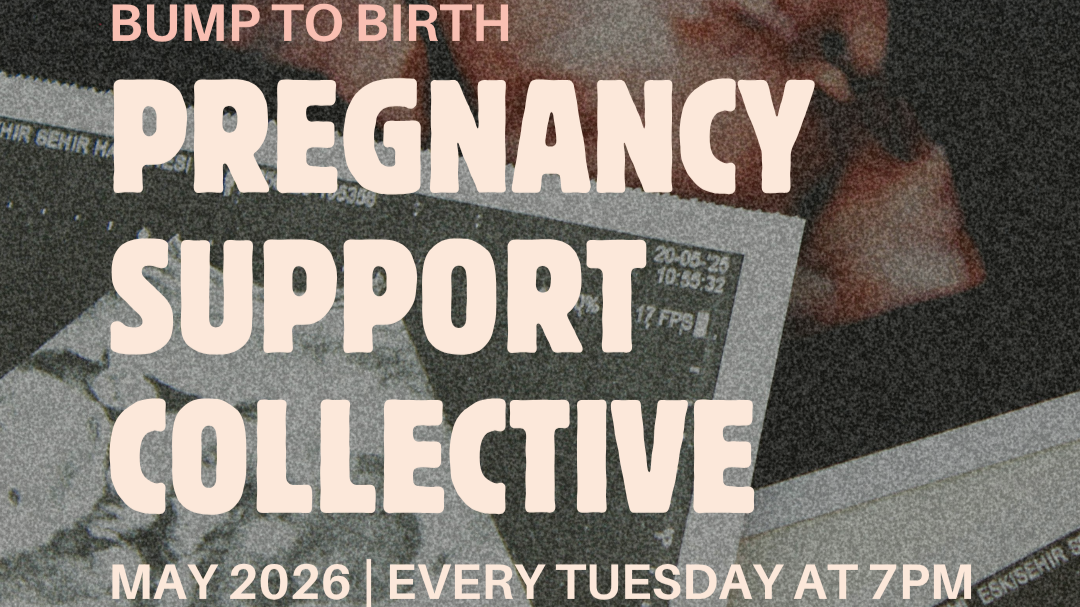 Bump to Birth: Your Pregnancy Support 