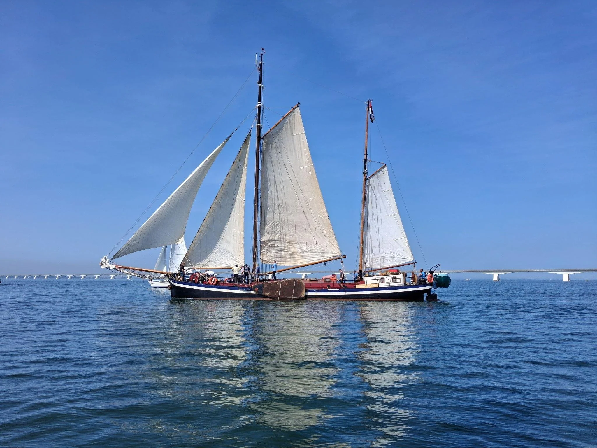 bf blauw.jpg