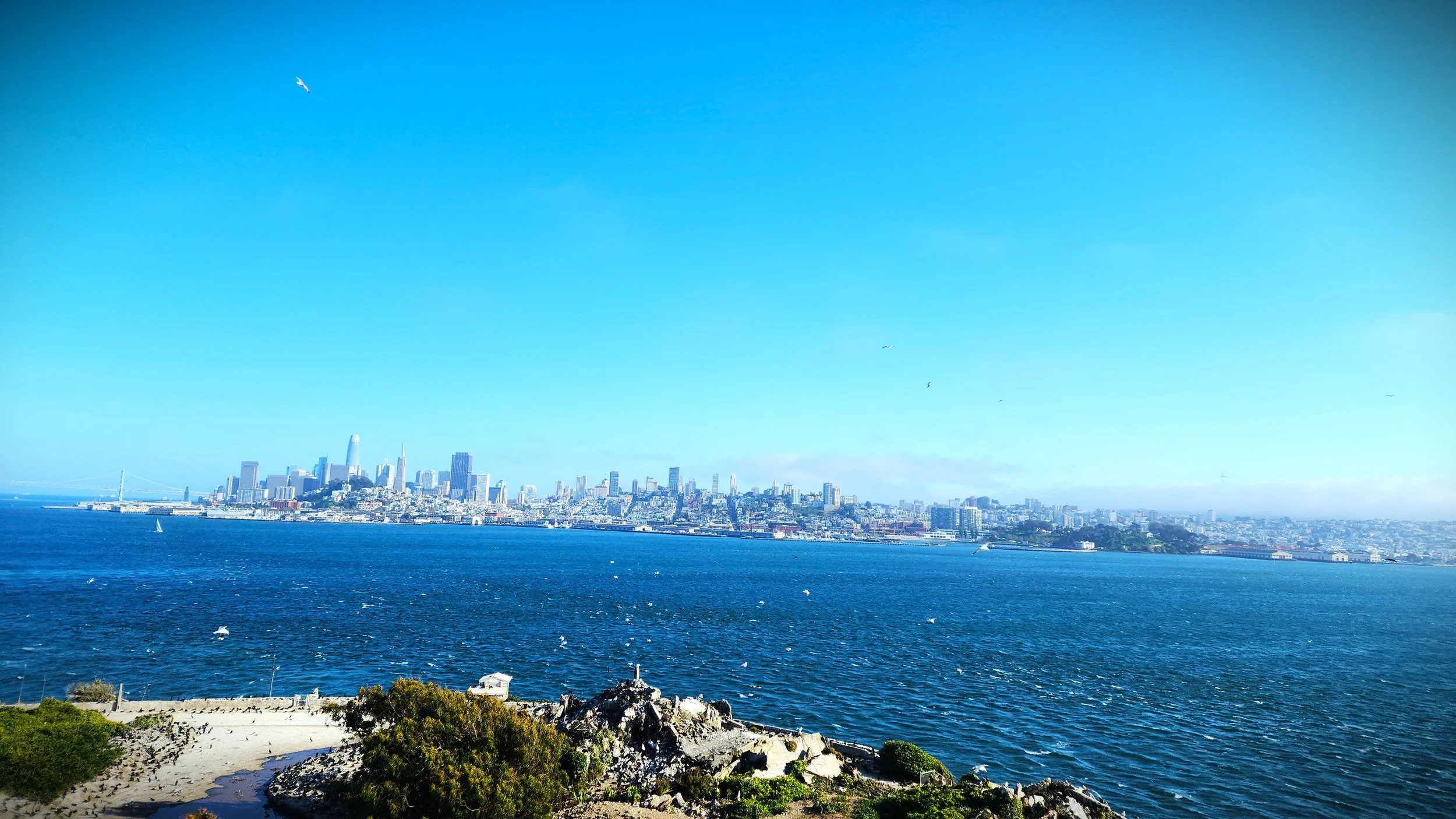 looking at SanFran.jpg