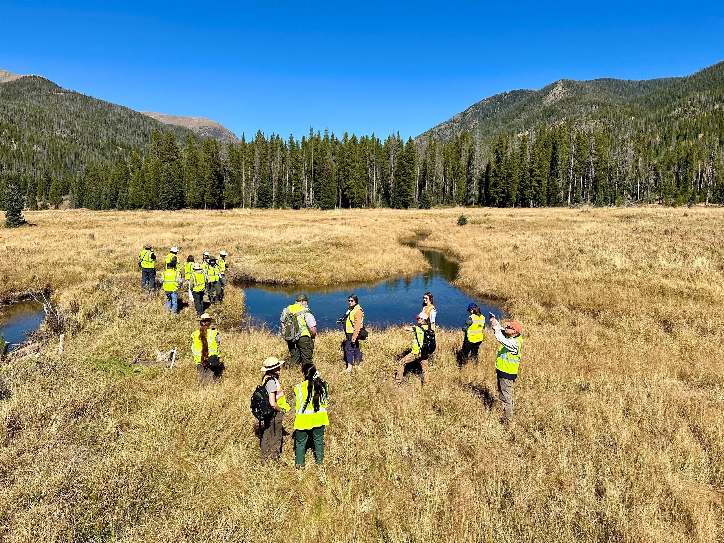 Willow Restoration Volunteer Day for KVRC
