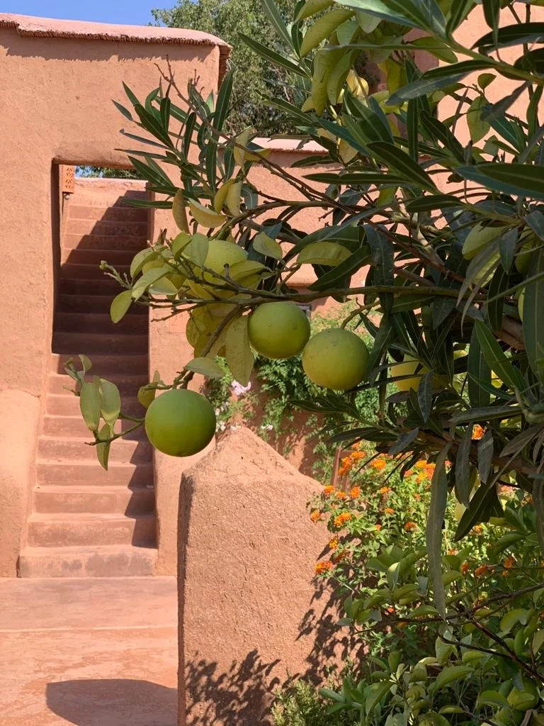 WhatsApp Image 2024-02-11 at 15.02.45 (4).jpeg