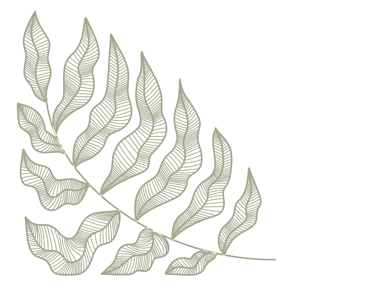Line drawing of a leafy branch with detailed striped leaves on a black background.
