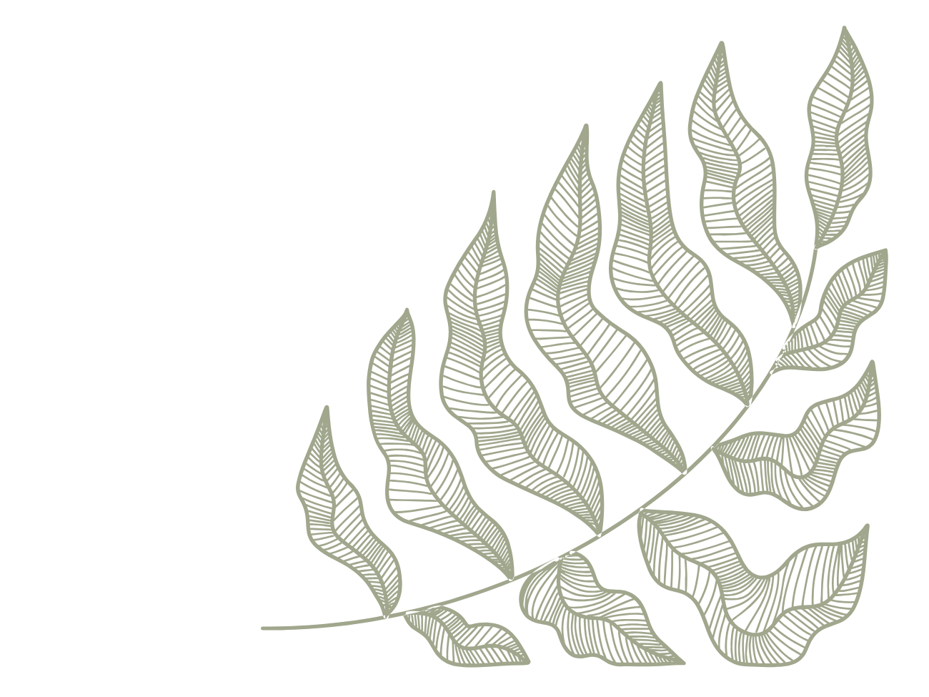 Illustration of a large, detailed fern leaf with multiple smaller leaves, set against a black background.