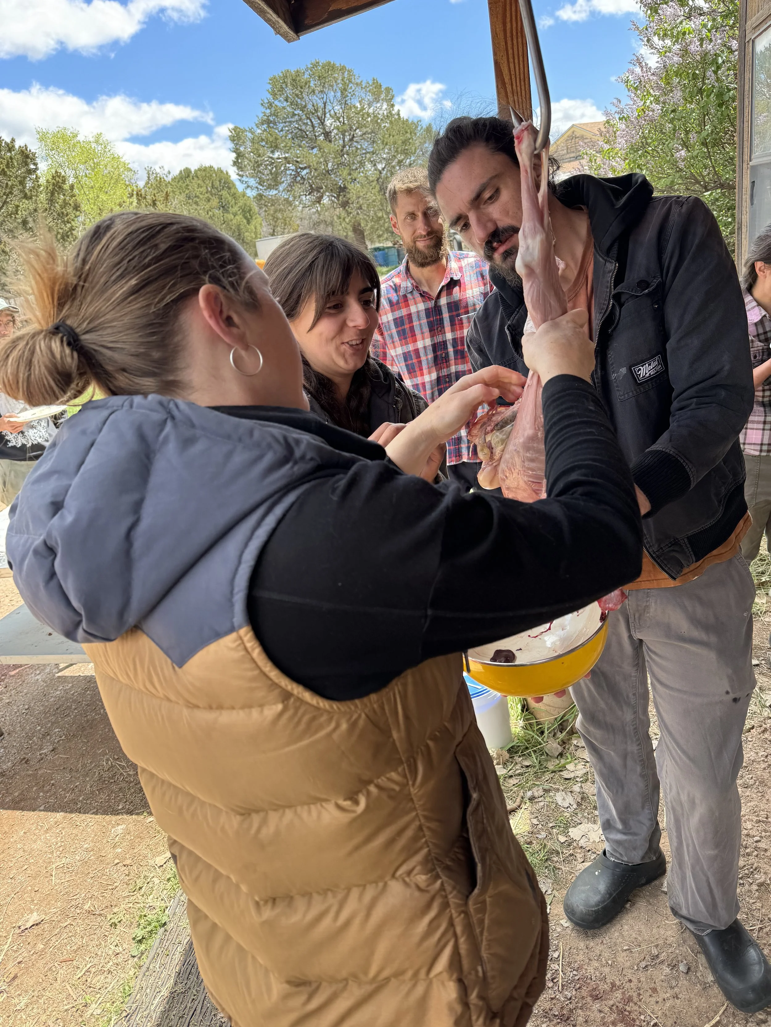 Brown’s Micro-creamery Goat Harvesting Workshop for Cheese Makers