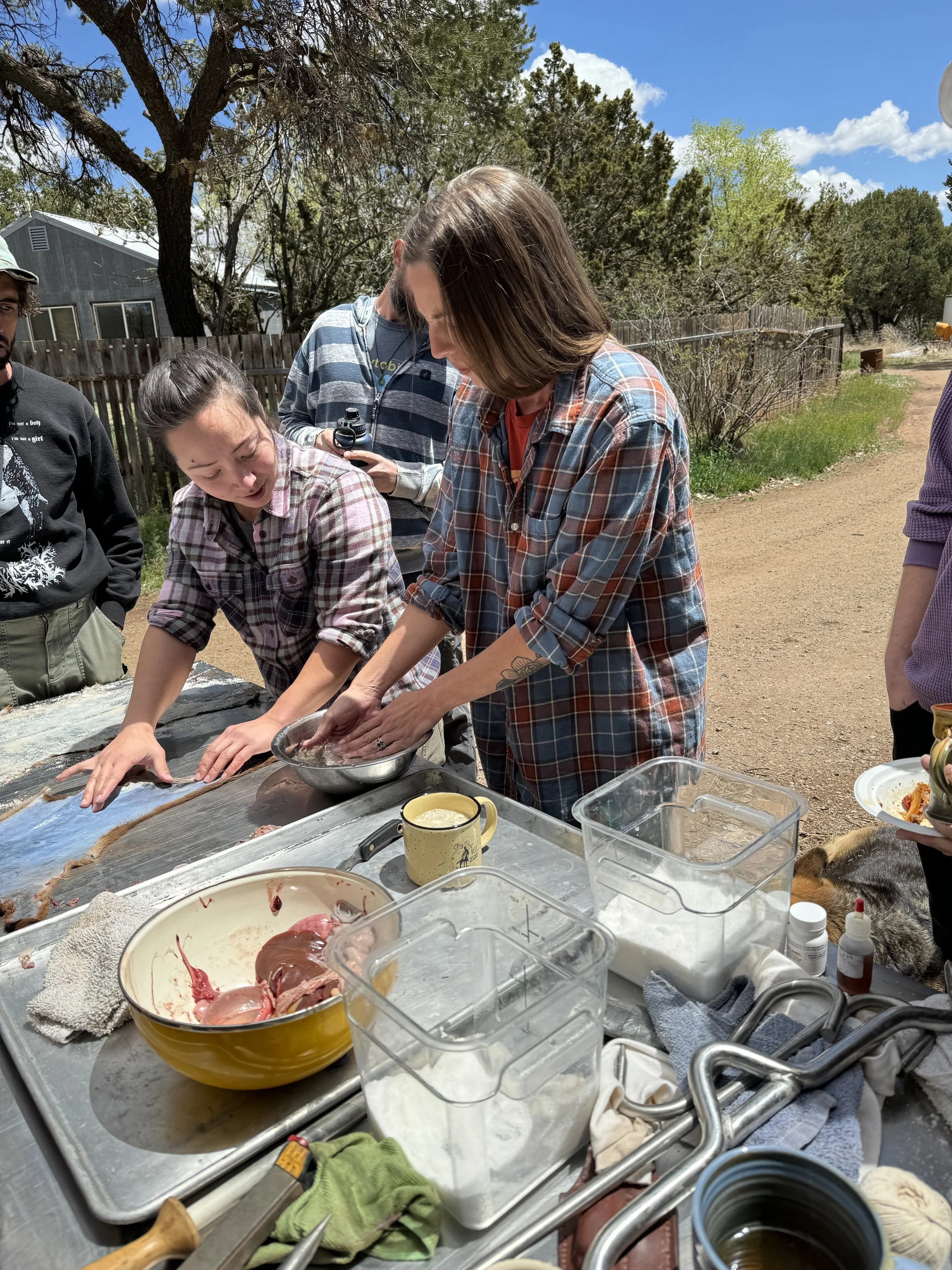 Rennet Collection.jpg