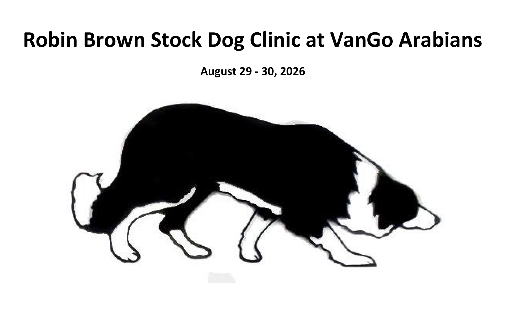 VanGo Arabians Stock Dog Clinic