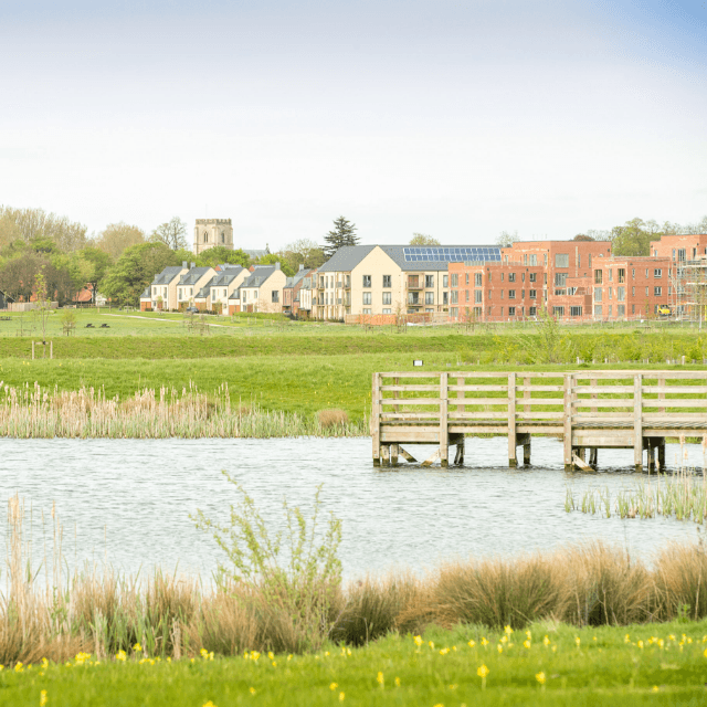 A pond with a wooden dock in a grassy park, with modern residential buildings and a church steeple in the background.