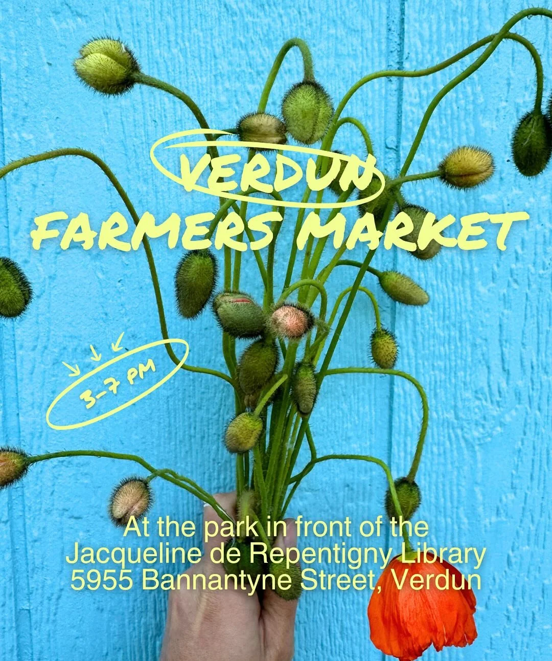 Les march&eacute;s fermiers d&rsquo;&eacute;t&eacute; commencent et nous serons au march&eacute; CAUS Verdun devant la biblioth&egrave;que de Verdun de 15h &agrave; 19h - venez nous voir !

Today is the day! Summer farmer&rsquo;s markets are beginnin