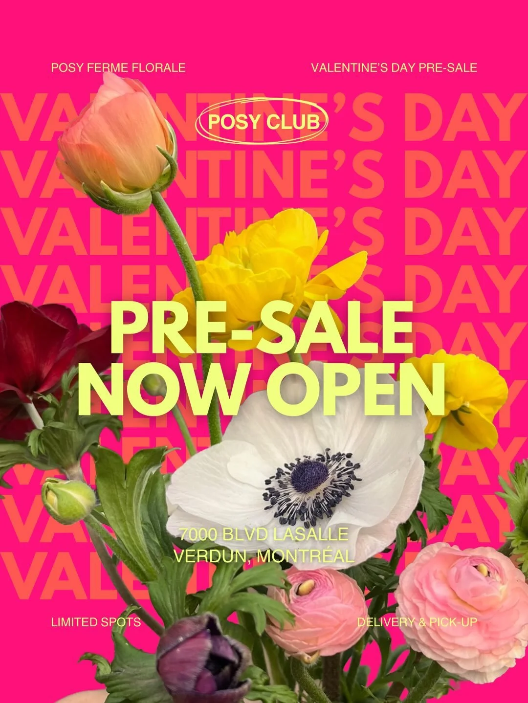 💗💗💗Valentines x Posy is live in our shop!💗💗💗

We have been working so hard this winter learning how to grow a winter crop deserving of a place in your celebrations! This is super important as our long term goal is to be able to offer our Fleuri