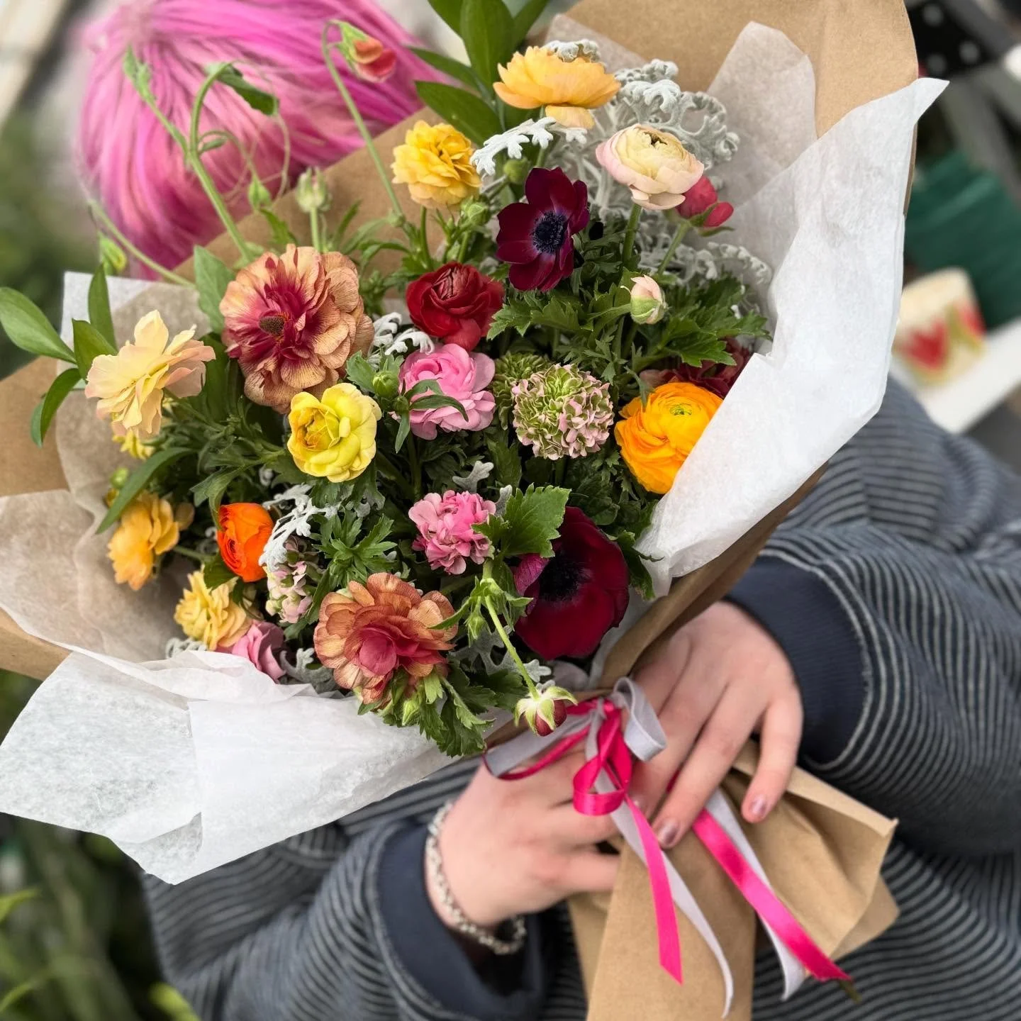 Bo came by the greenhouse today and we thought we would show you how TWO DOZEN. WINTER. RANUNCULUS. look!👀 

What do you think?

Pre-order now to reserve yours! Numbers are limited as we grow them in house. 

💐shop link in bio!