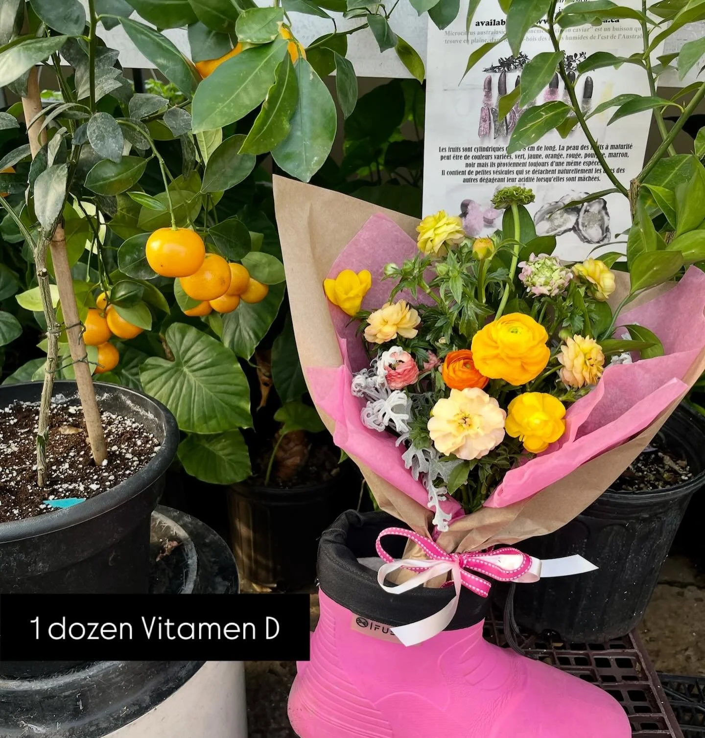 Valentine&rsquo;s Day is THIS Saturday! We are ready for you. 

Whether you need a jolt of sunshine 🌞(Vitamin D is the perfect antidote to February) or you want to live the passion of the moment (Chic&rsquo;s airy red gold butterfly ranunculus have 