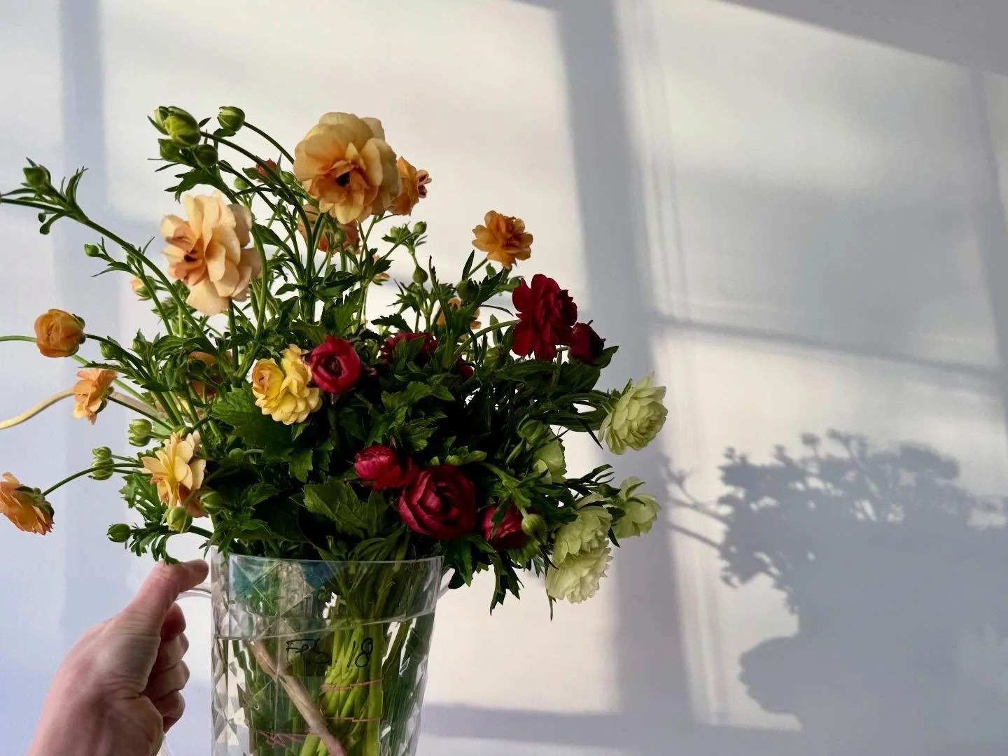 Friday mood&hellip;

Slides 1&amp;2 Butterfly Ranunculus
Slides 2&amp;3 Sweet Peas

If you want some of these gorgeous blooms there is still stone to sign up for our Winter X Posy bi-weekly bouquets subscription. Link in bio!