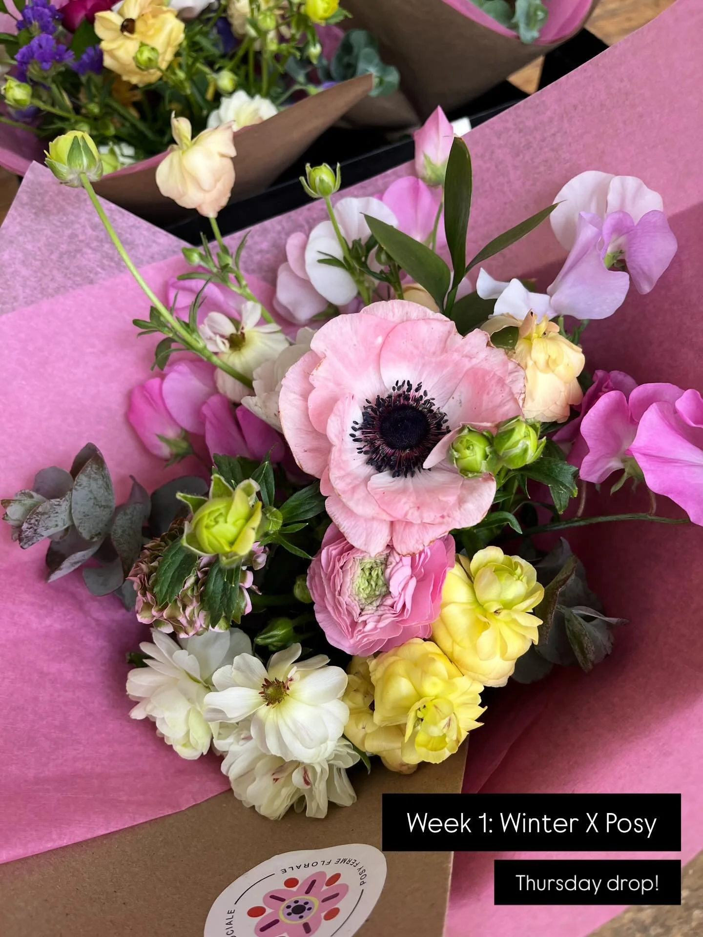 C&rsquo;est fait!! L&rsquo;hiver x Posy commence aujourd&rsquo;hui!

Trois bouquets compl&egrave;tement unique. Chaque tige a &eacute;t&eacute; cultiv&eacute;e dans notre serre. Chaque vente soutient notre programme Fleurish.

Quel est votre pr&eacut