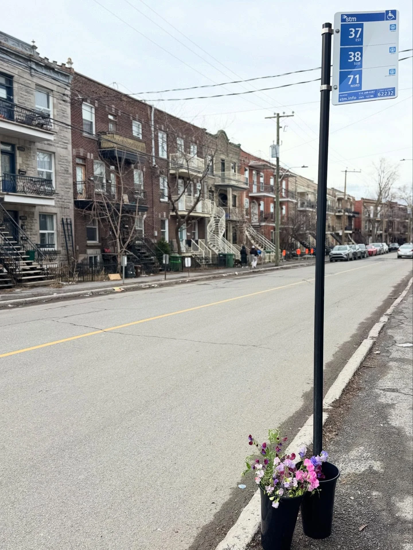 It may not feel like spring but it&rsquo;s finally take your sweet peas on the bus without their coat on weather!

In classic Montr&eacute;al style our bus was delayed so we had a photojournalism moment. 

#fleurslocales 
#grownnotflown 
#urbanfarmin