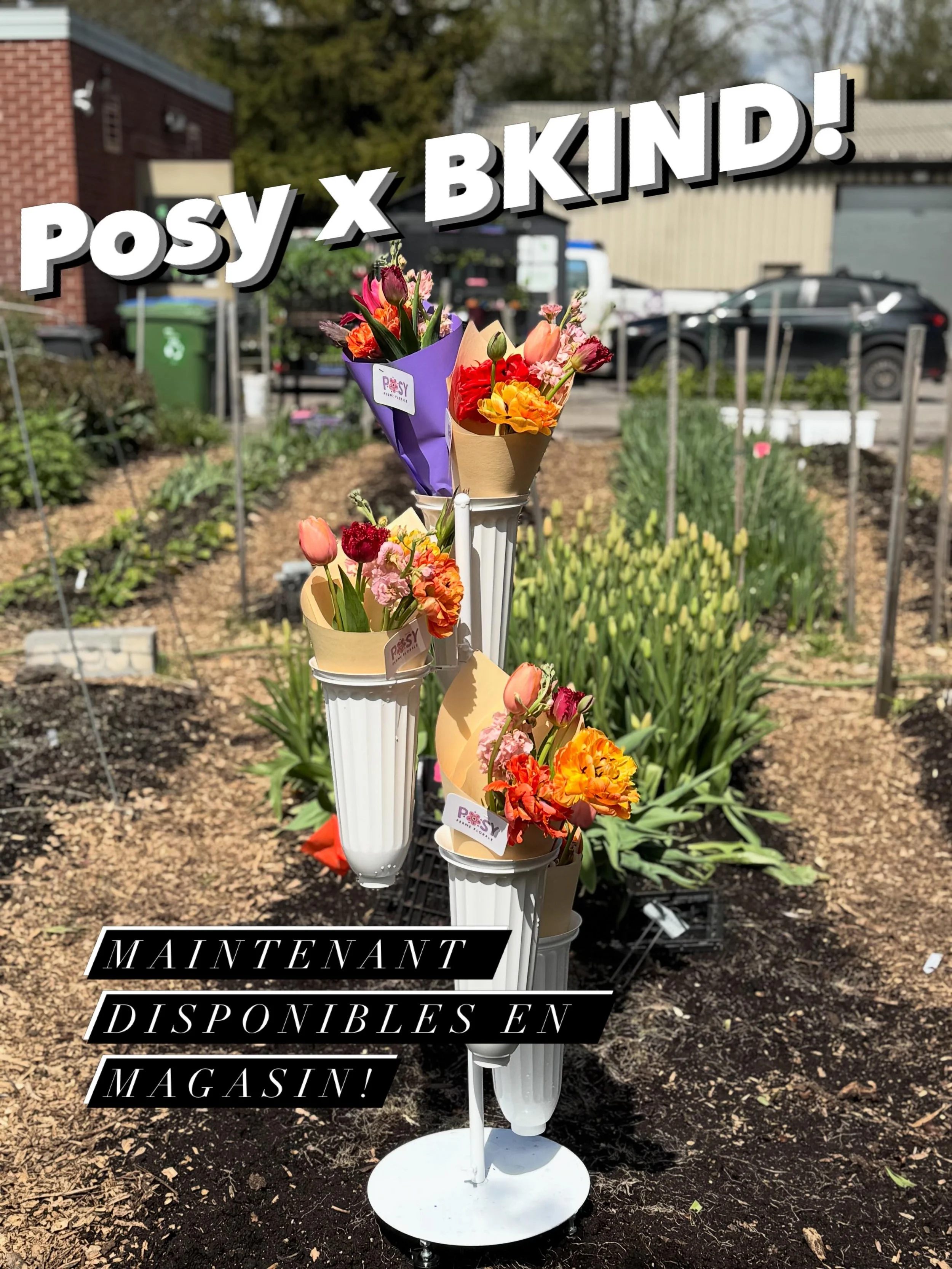 Excited to announce Posy flowers are now available @bkind_verdun! 

We just dropped off a fresh tower of specialty double, frilled, and fancy free tulips to sweeten up your long weekend. They travelled an exceptionally short 6mins from our urban flow
