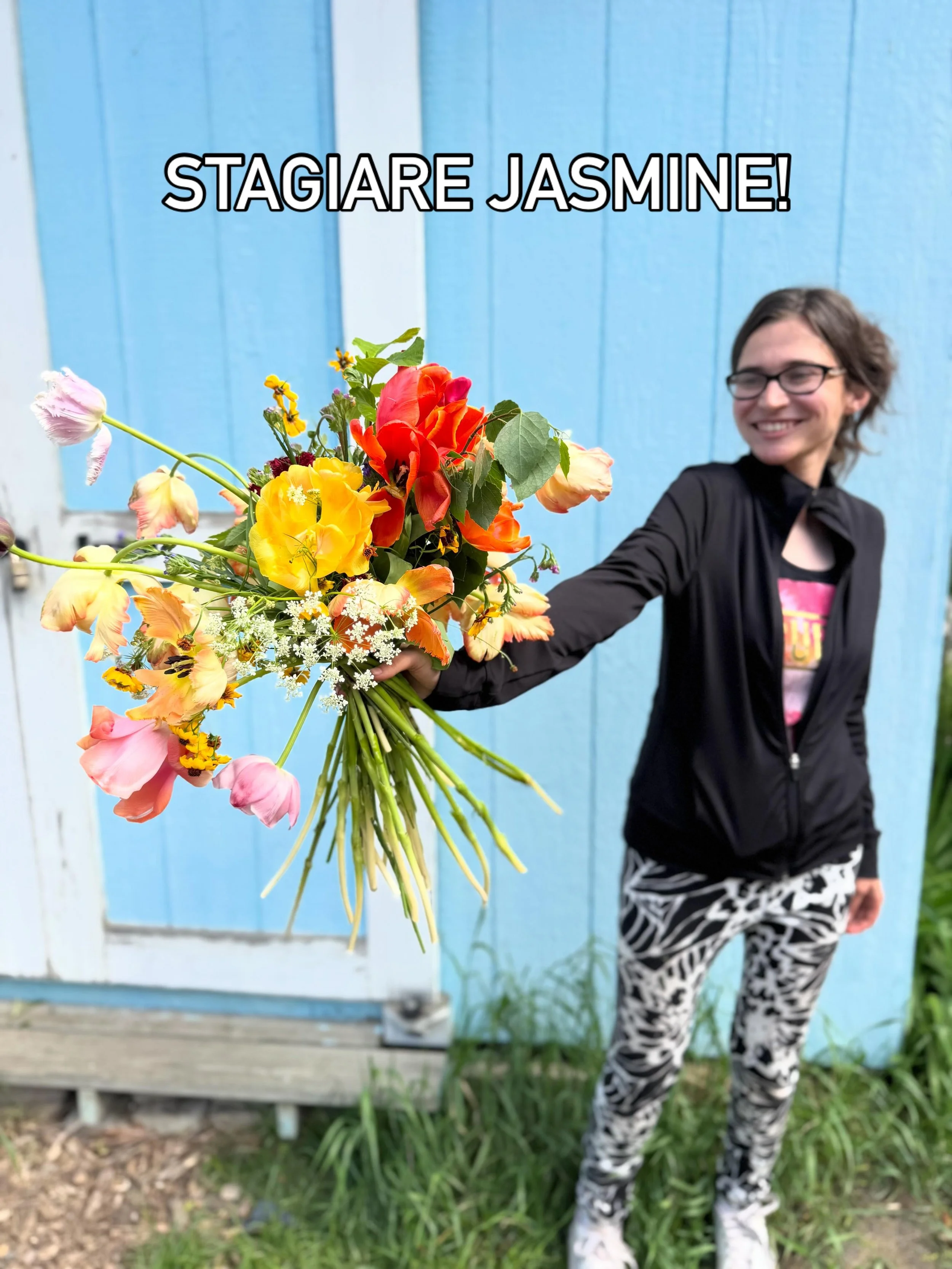 Hier notre Stagiare de @groupe_provert Jasmine s&rsquo;est entra&icirc;n&eacute;e &agrave; la technique europ&eacute;enne du bouquet nou&eacute; &agrave; la main &mdash; regardez cette spirale ! 

Elle a utilis&eacute; de vieilles fleurs qui auraient