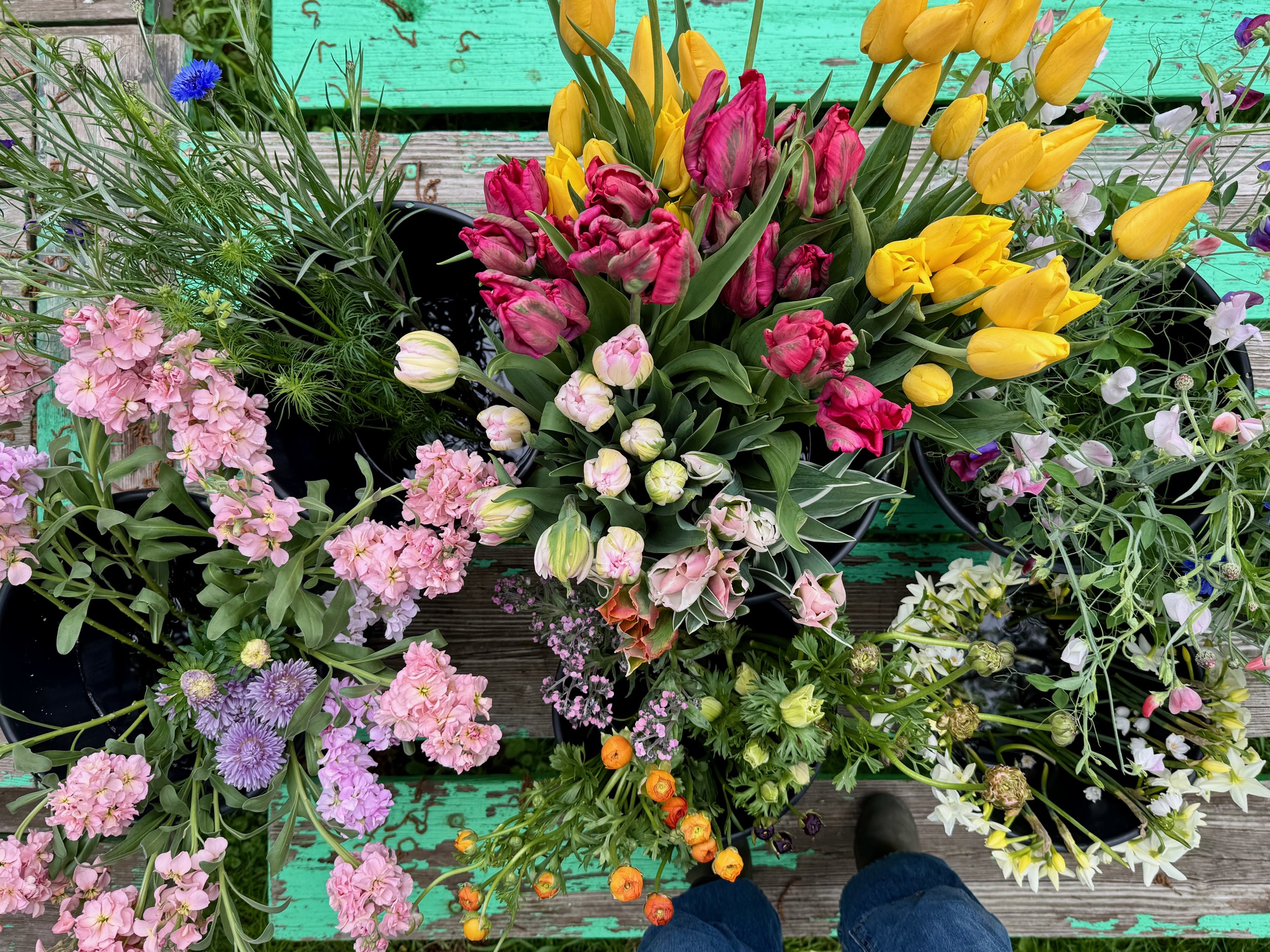 All Photos - 1 of 1.jpeg