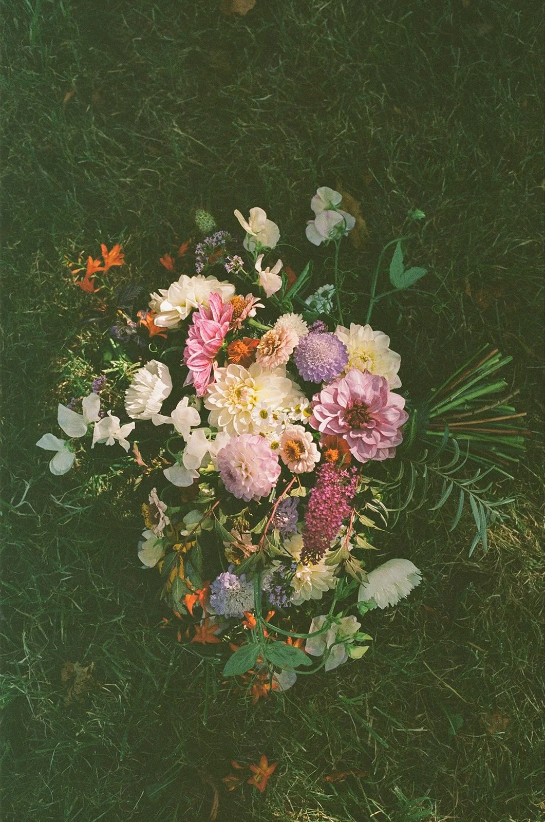 Meg & Dave 2025 - 13 of 19.jpeg