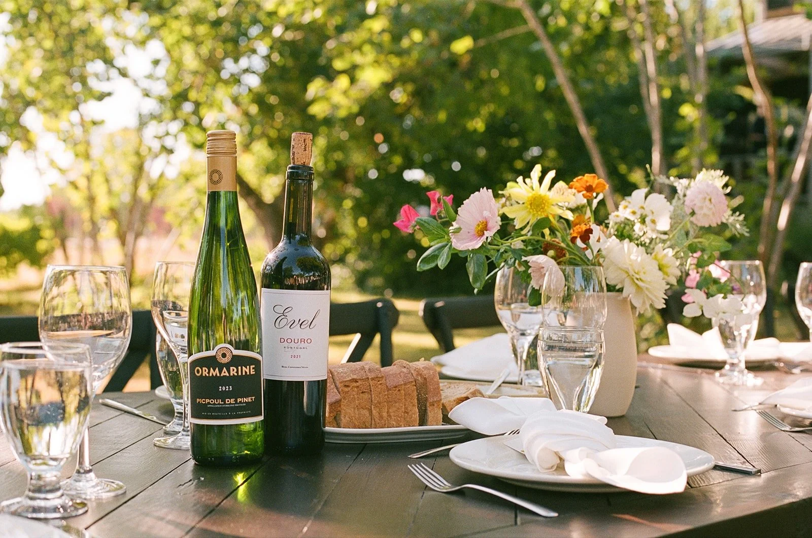 Meg & Dave 2025 - 1 of 19.jpeg