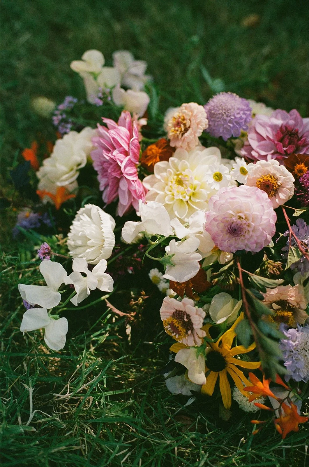 Meg & Dave 2025 - 12 of 19.jpeg