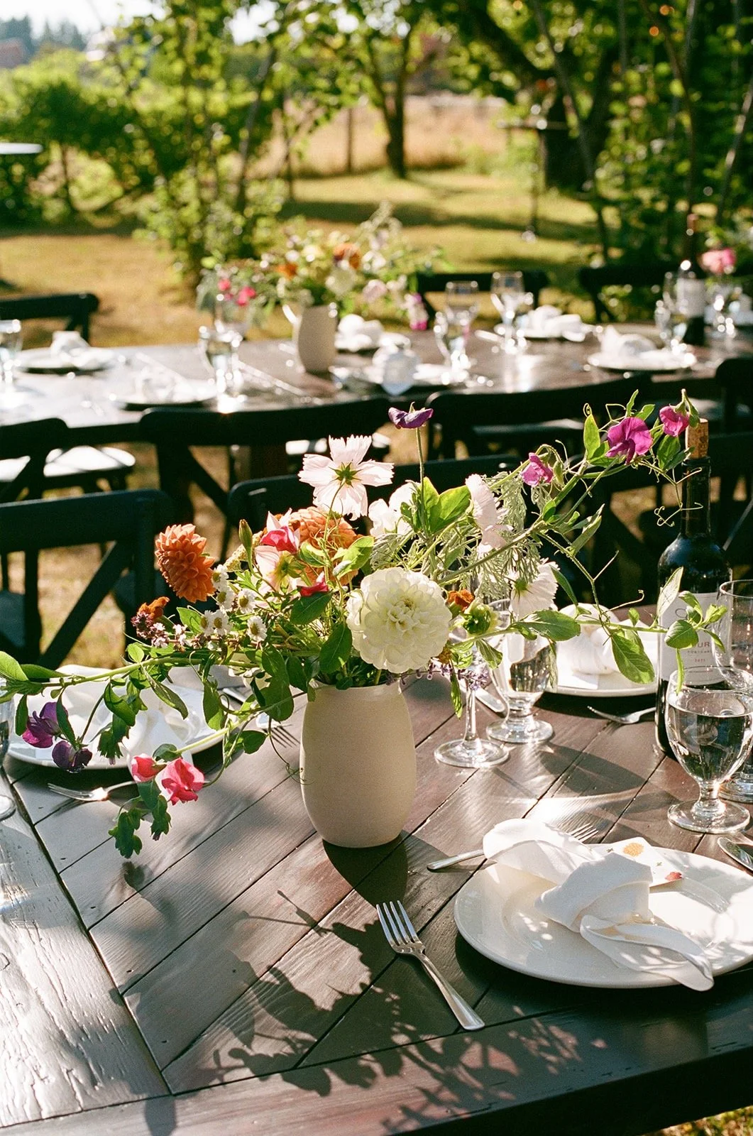 Meg & Dave 2025 - 2 of 19.jpeg