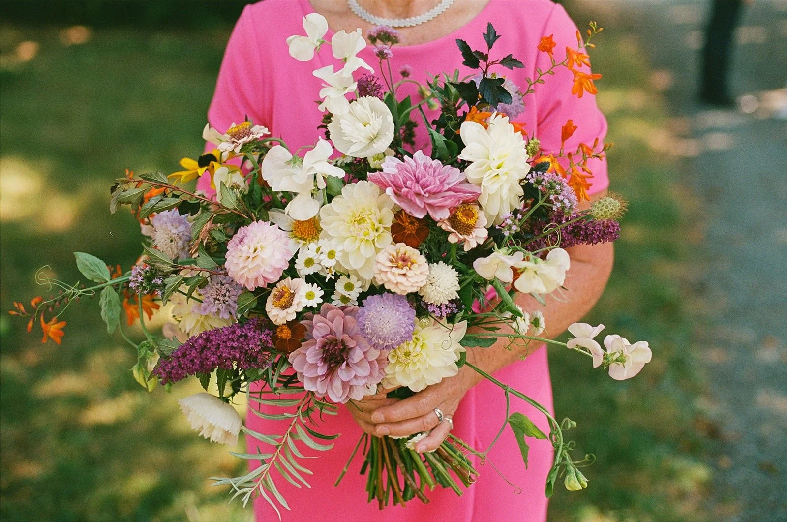 Meg & Dave 2025 - 14 of 19.jpeg