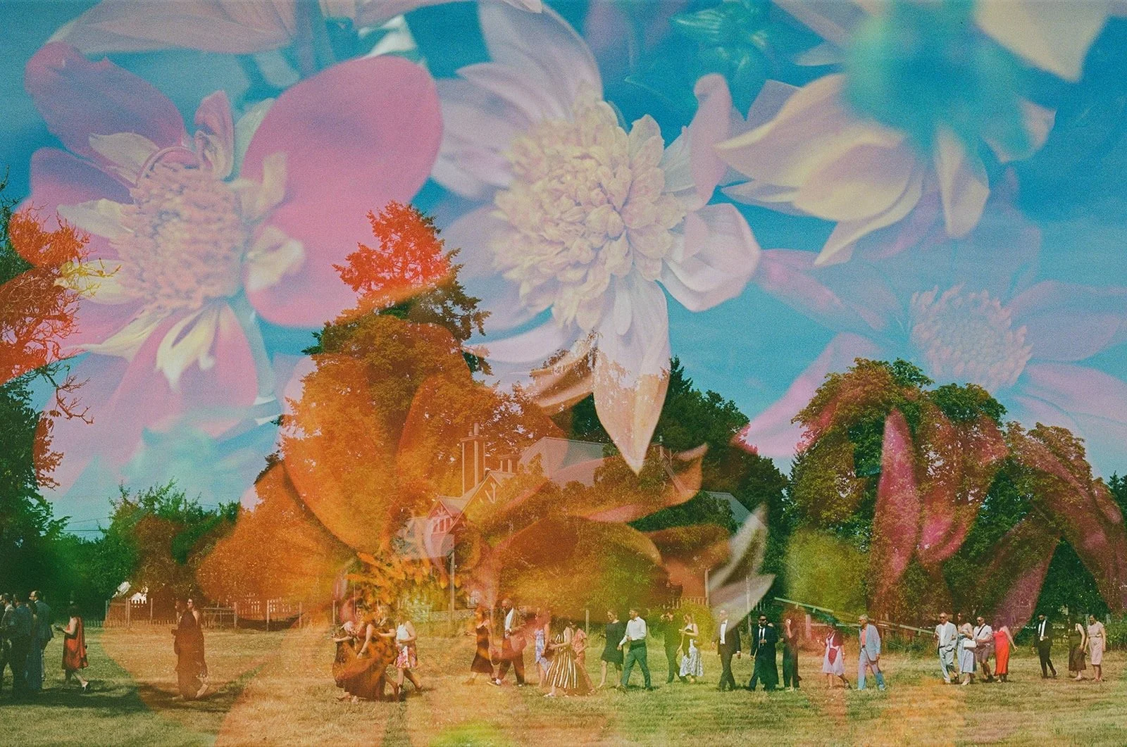 Meg & Dave 2025 - 19 of 19.jpeg