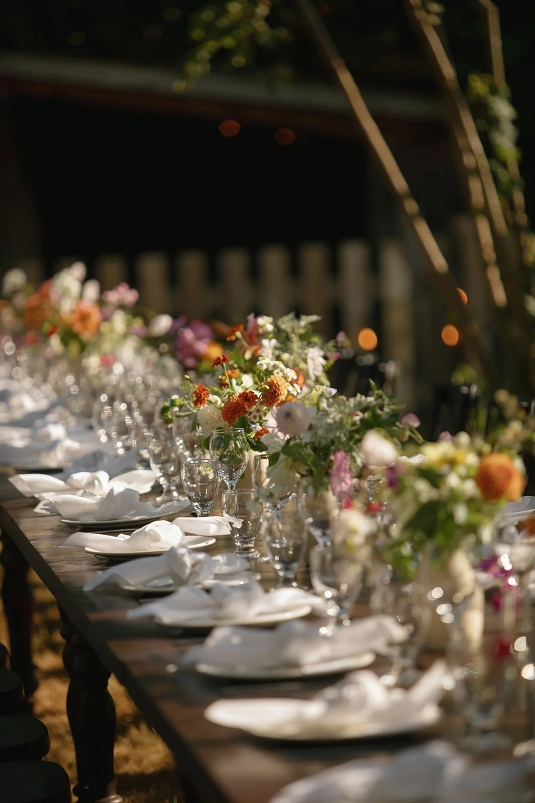 Meg & Dave 2025 - 30 of 56.jpeg