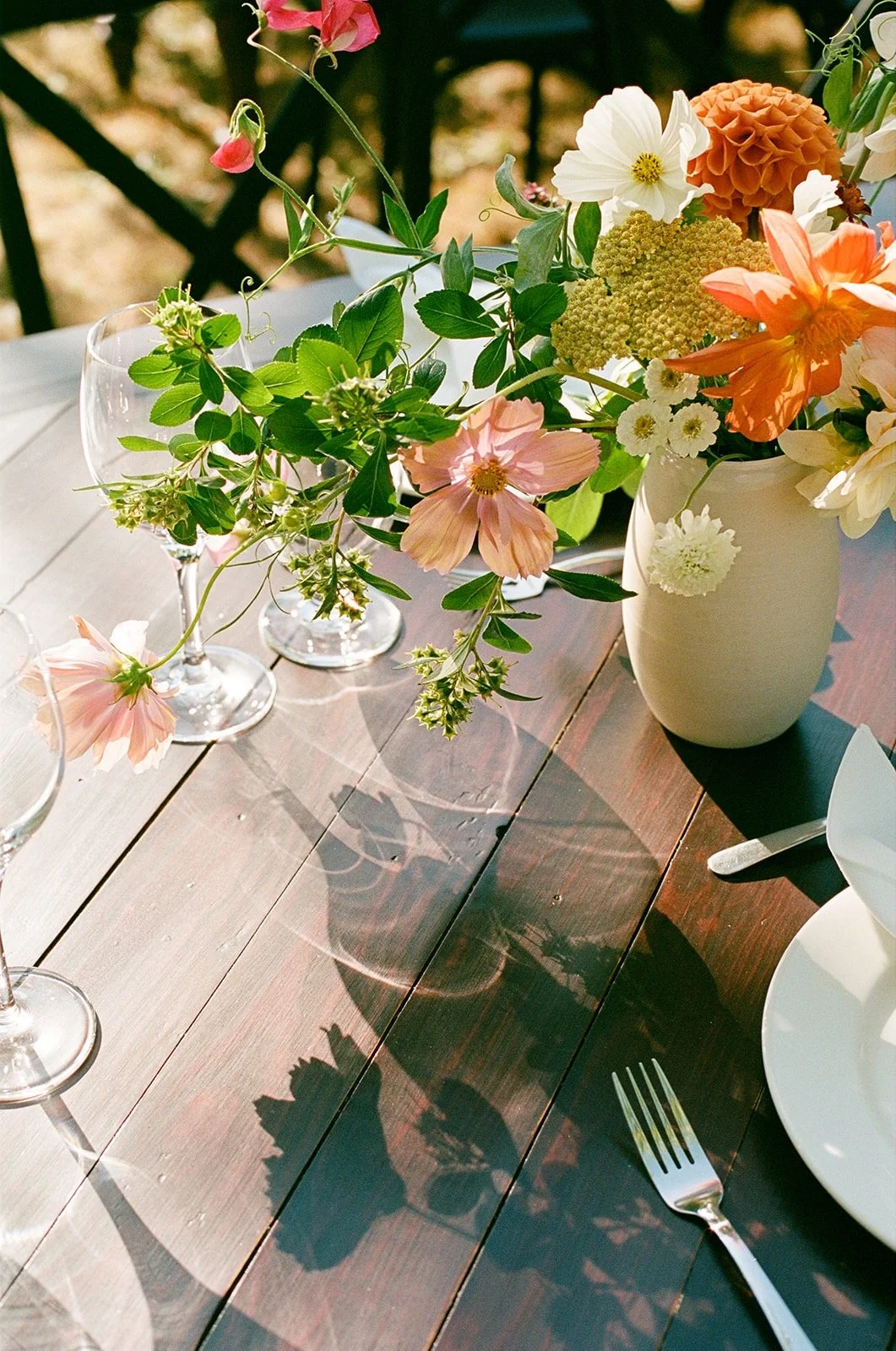 Meg & Dave 2025 - 5 of 19.jpeg