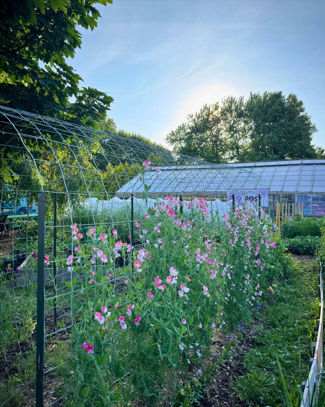 Untitled design-3.png