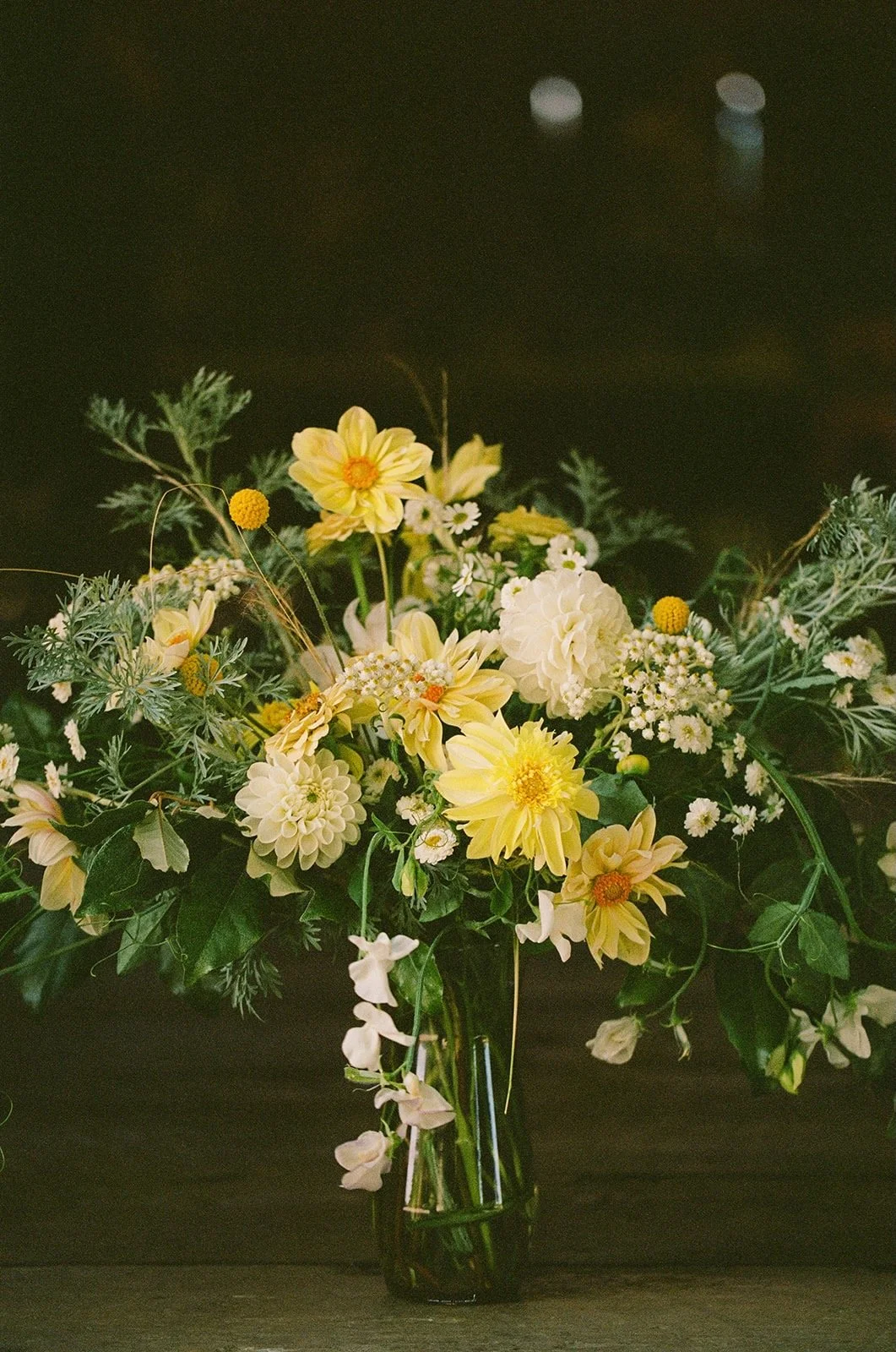 Meg & Dave 2025 - 17 of 19.jpeg