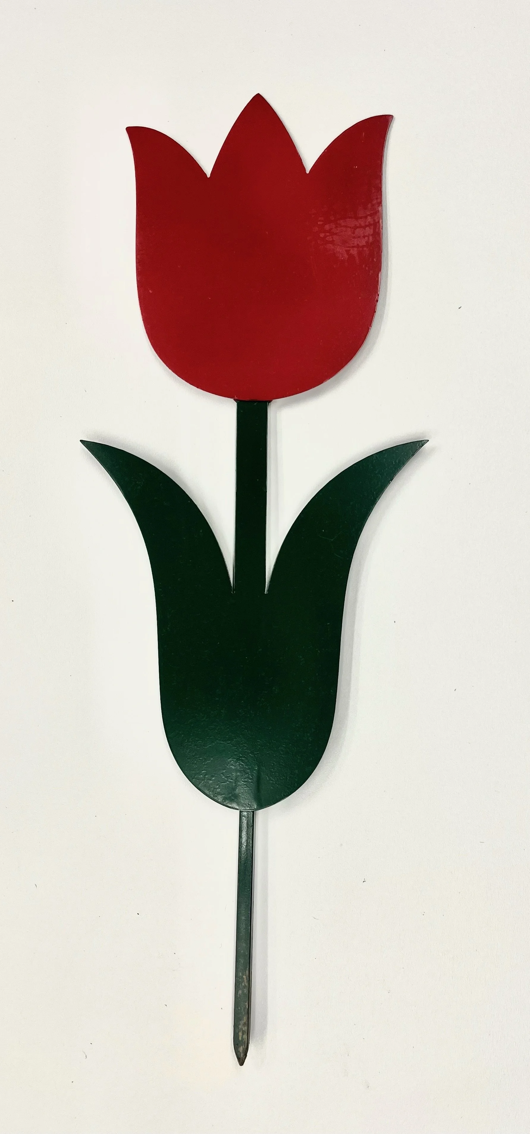 Tulip.JPEG