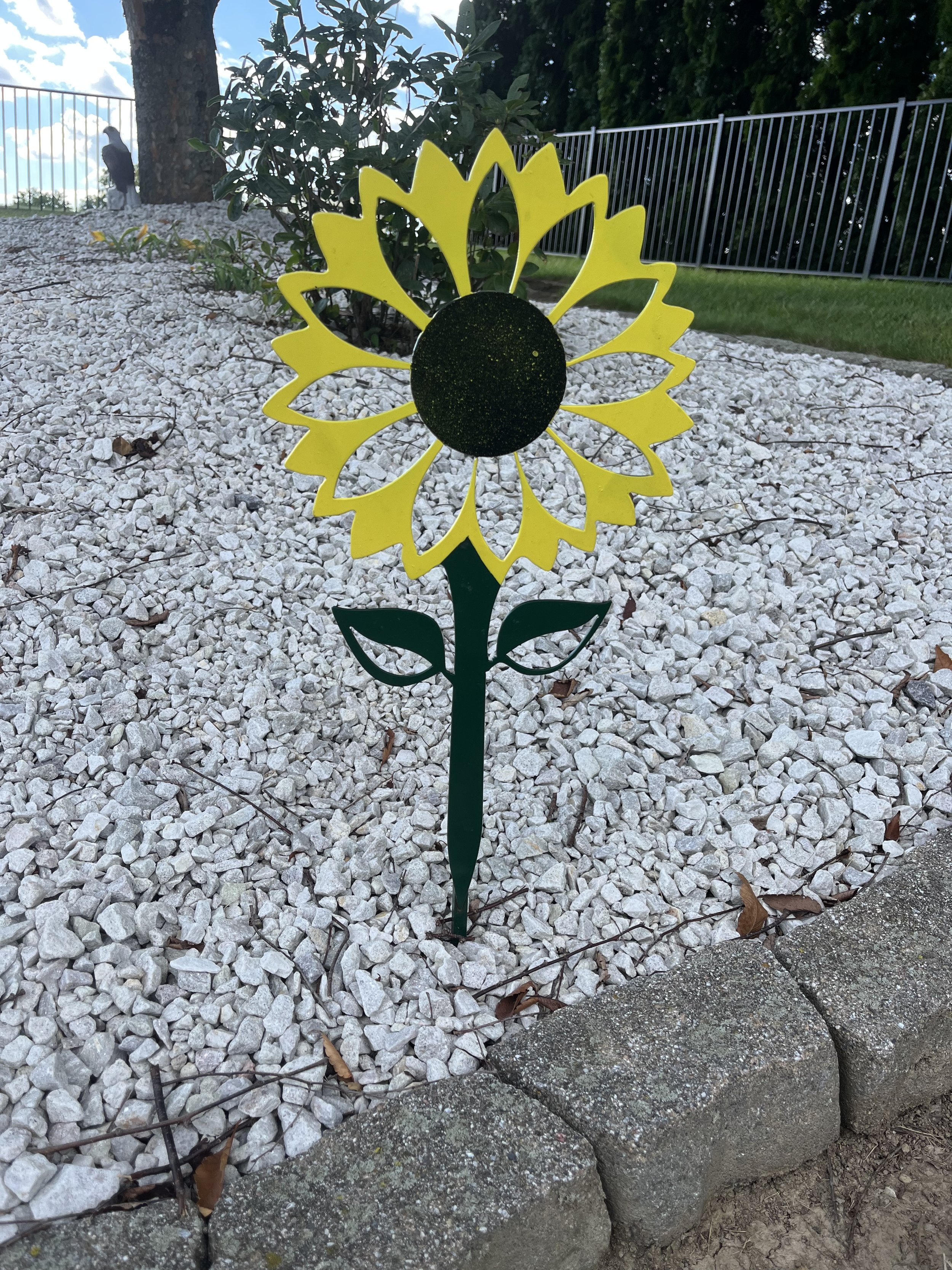 Sunflower in Garden.JPEG