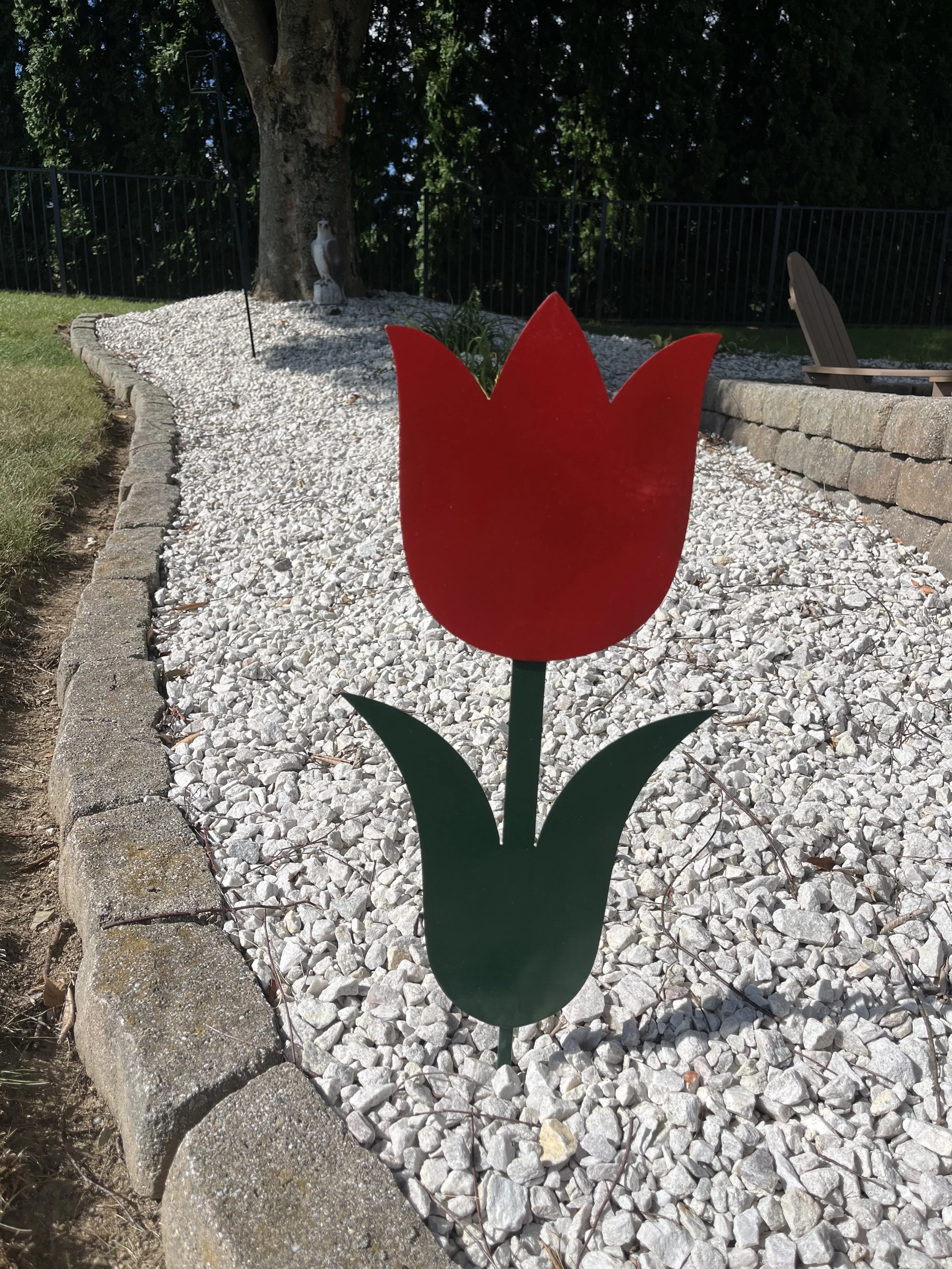 Tulip in Garden.JPEG