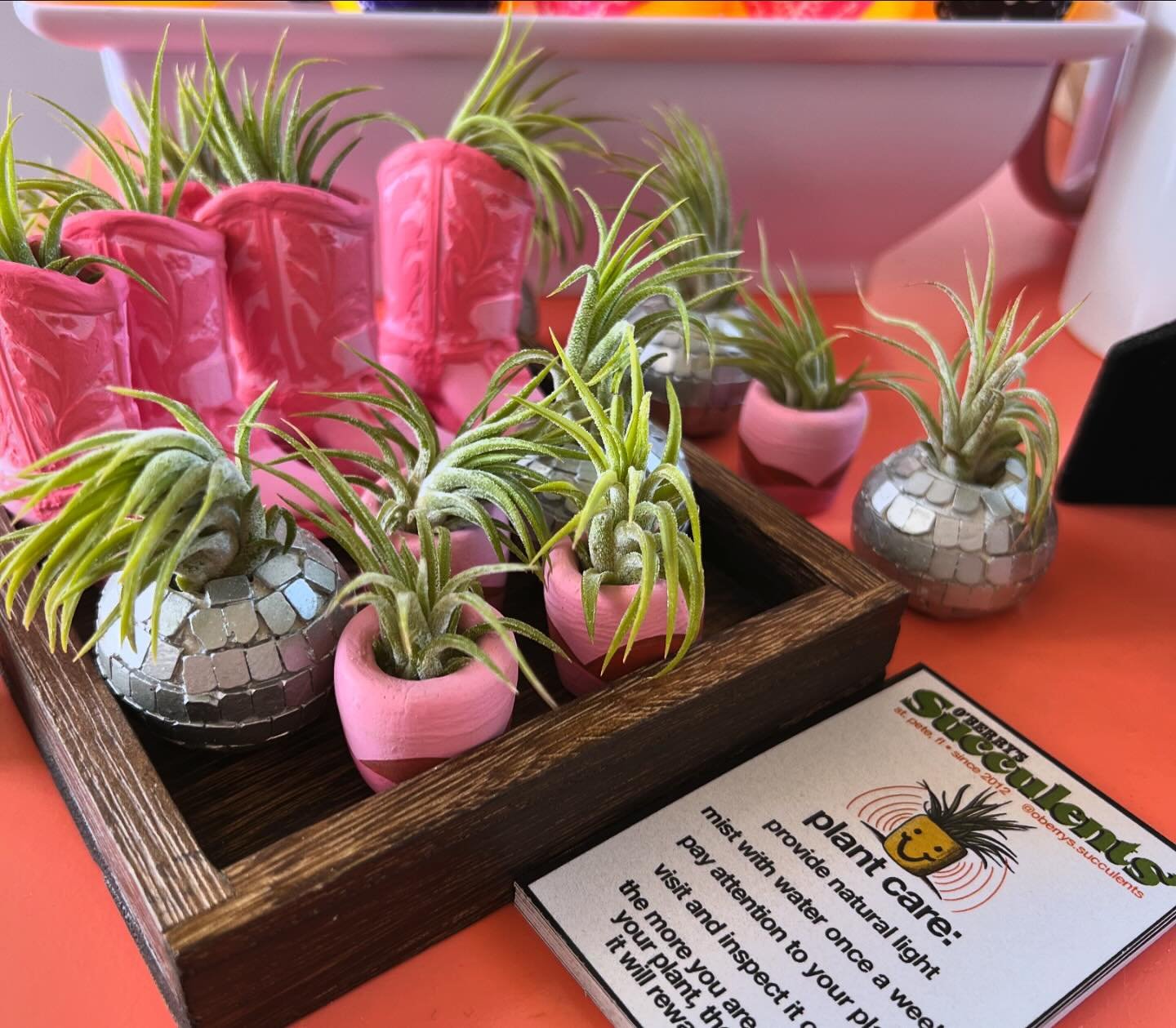 These adorable little air plants are the cutest! Available in disco balls, boots, and clay pot styles. Snag these at our Vegas location! #airplants #discoball #containerpark #downtownlasvegas