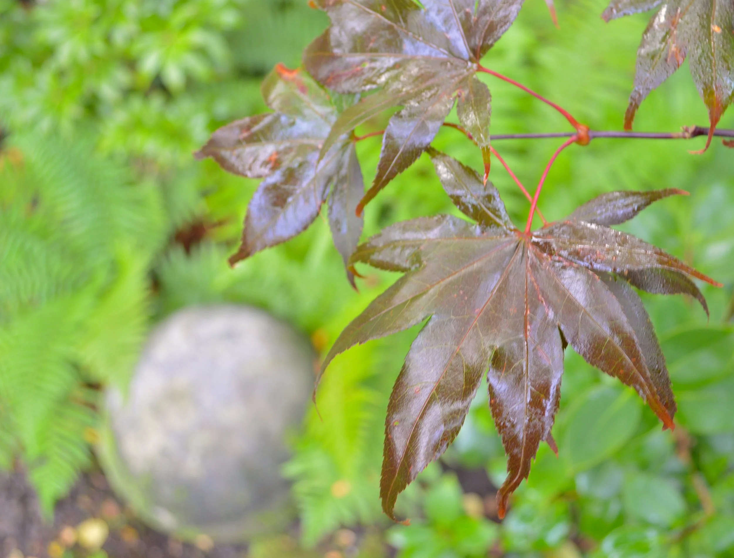 DSC_7 - Version 2.JPG